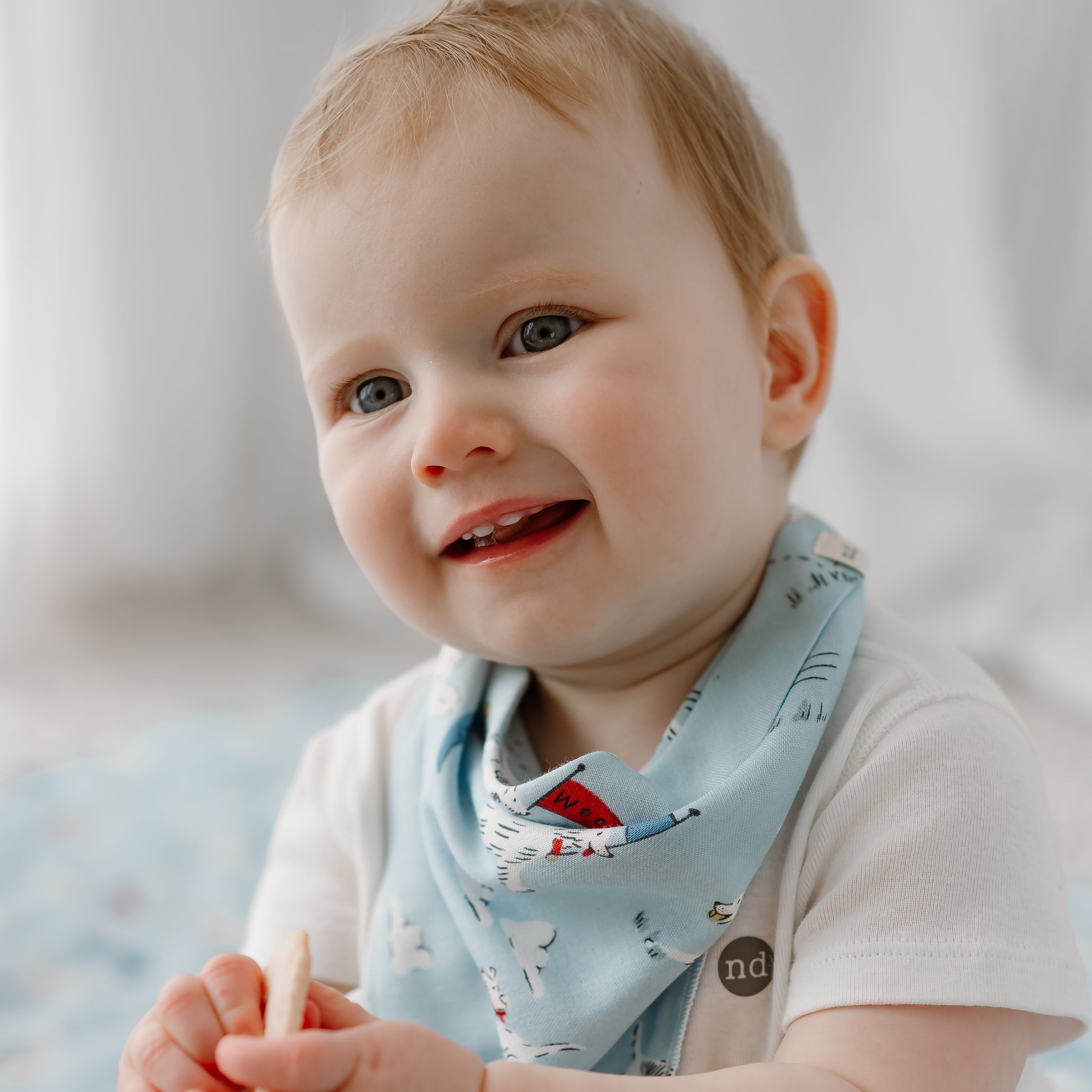 Puppy Park #color_Puppy Park