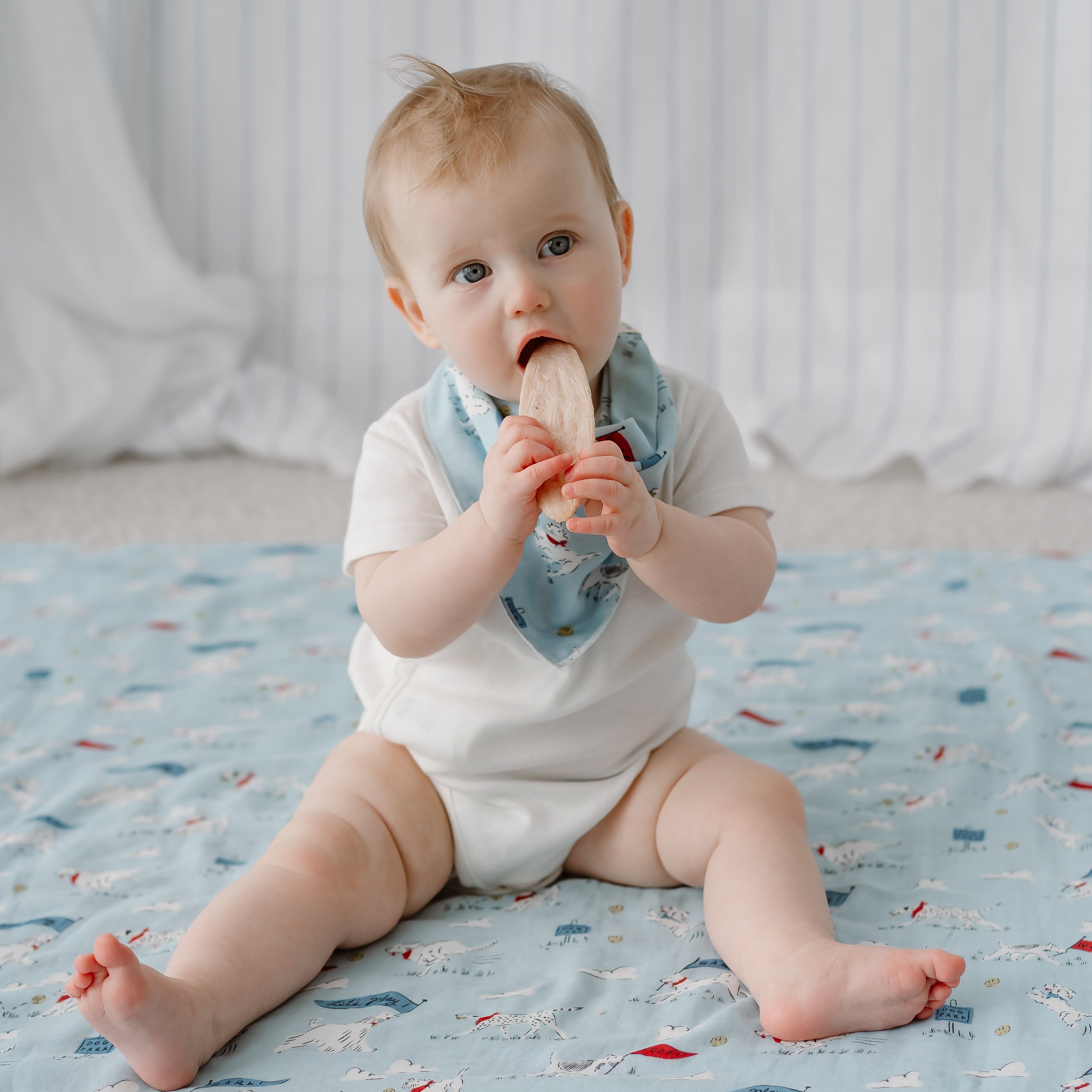 Puppy Park #color_Puppy Park