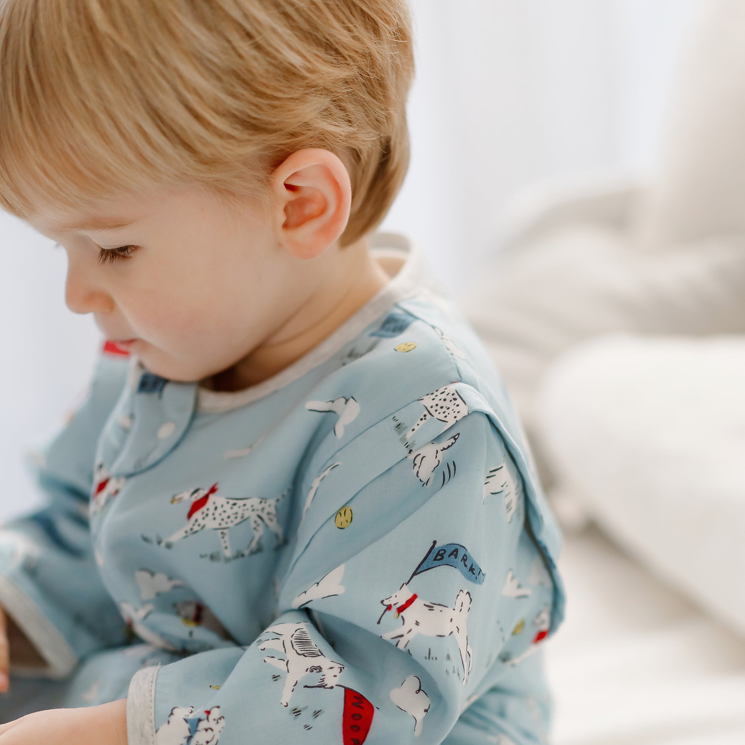 Puppy Park #color_Puppy Park