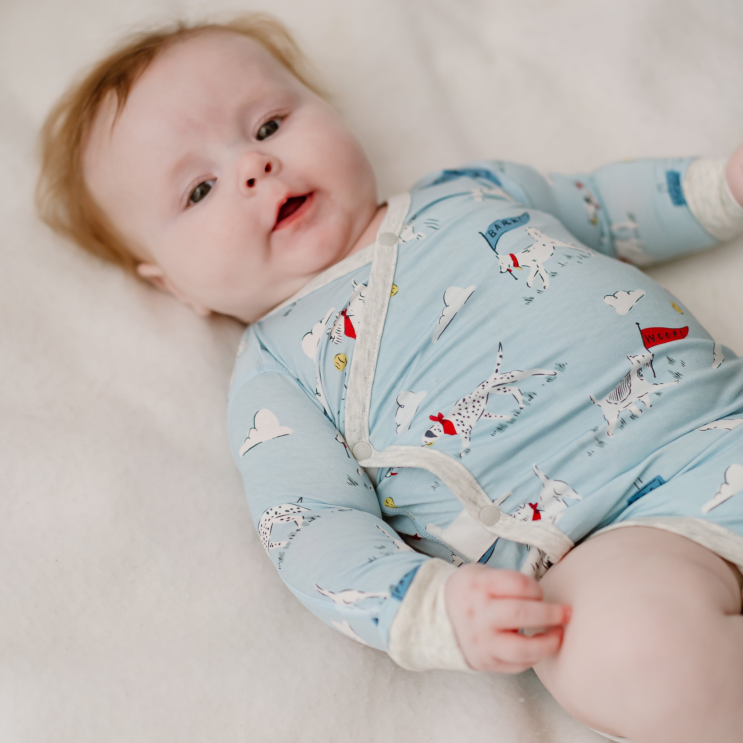 Puppy Park #color_Puppy Park