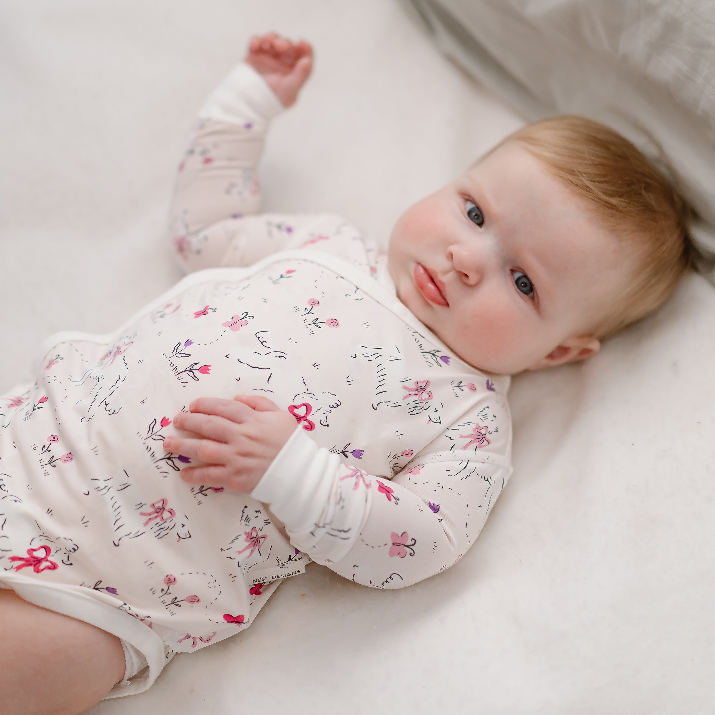 Doggie Meadow #color_Doggie Meadow