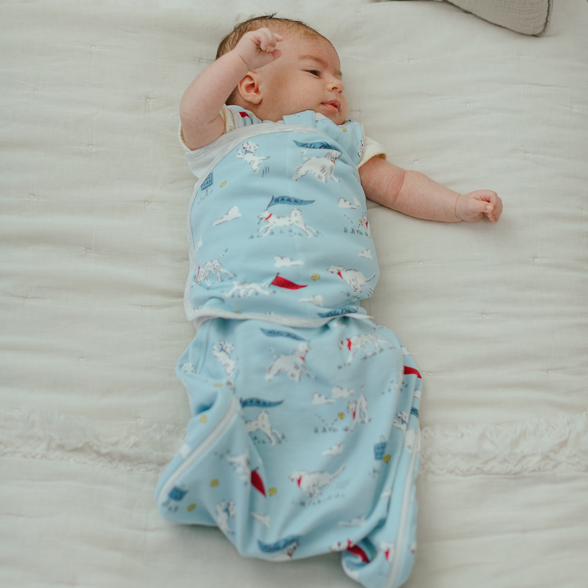 Puppy Park #color_Puppy Park