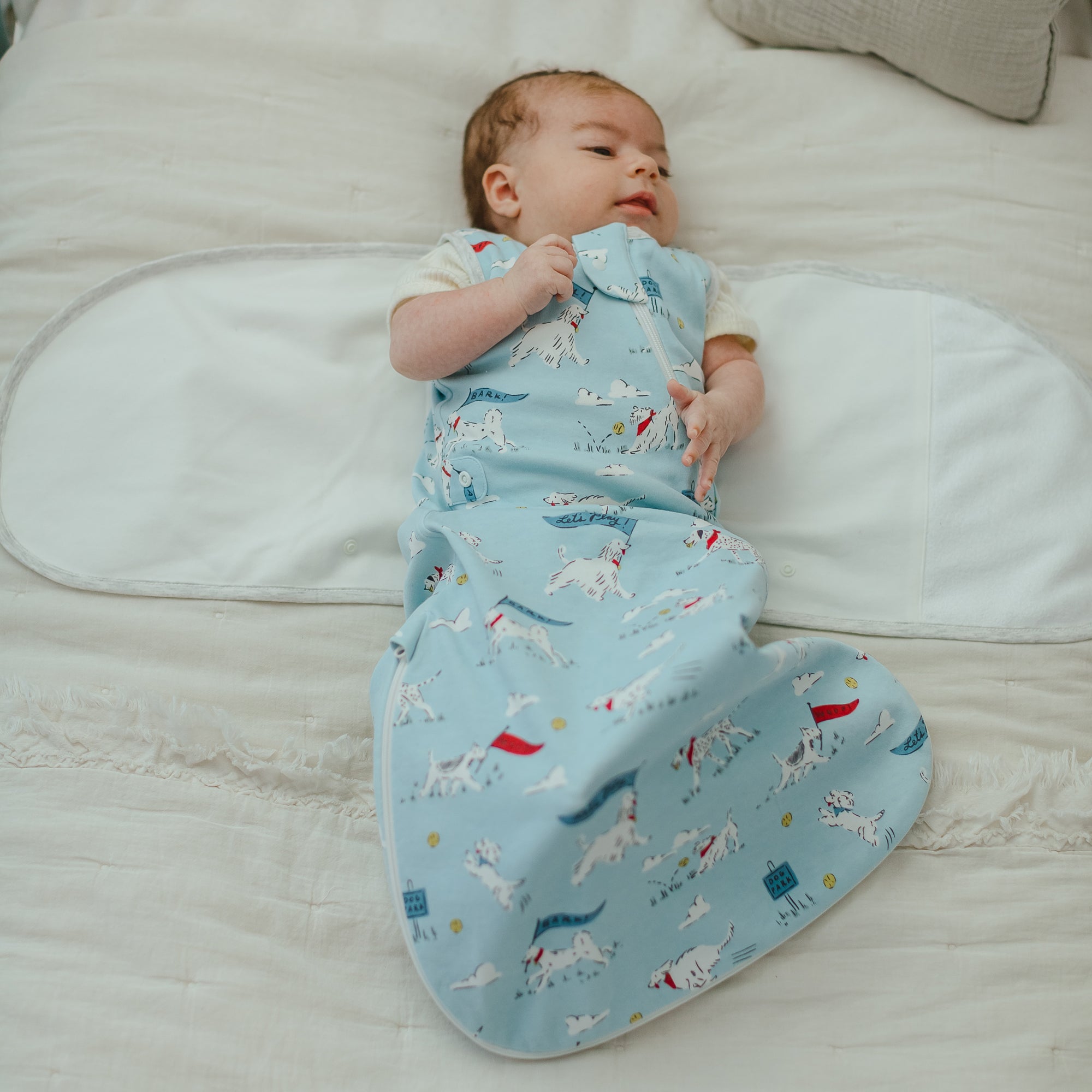 Puppy Park #color_Puppy Park