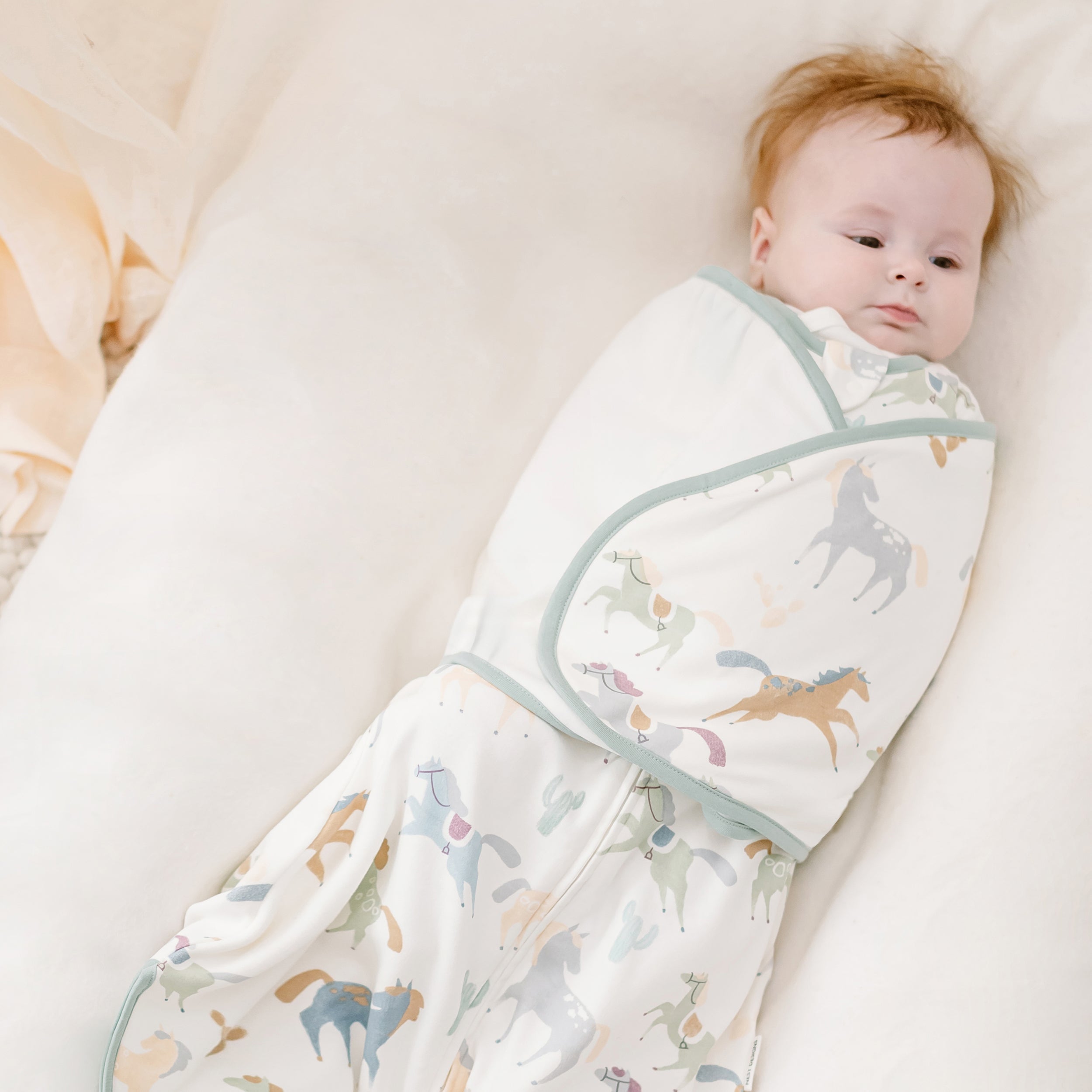 Pony Express #color_Pony Express