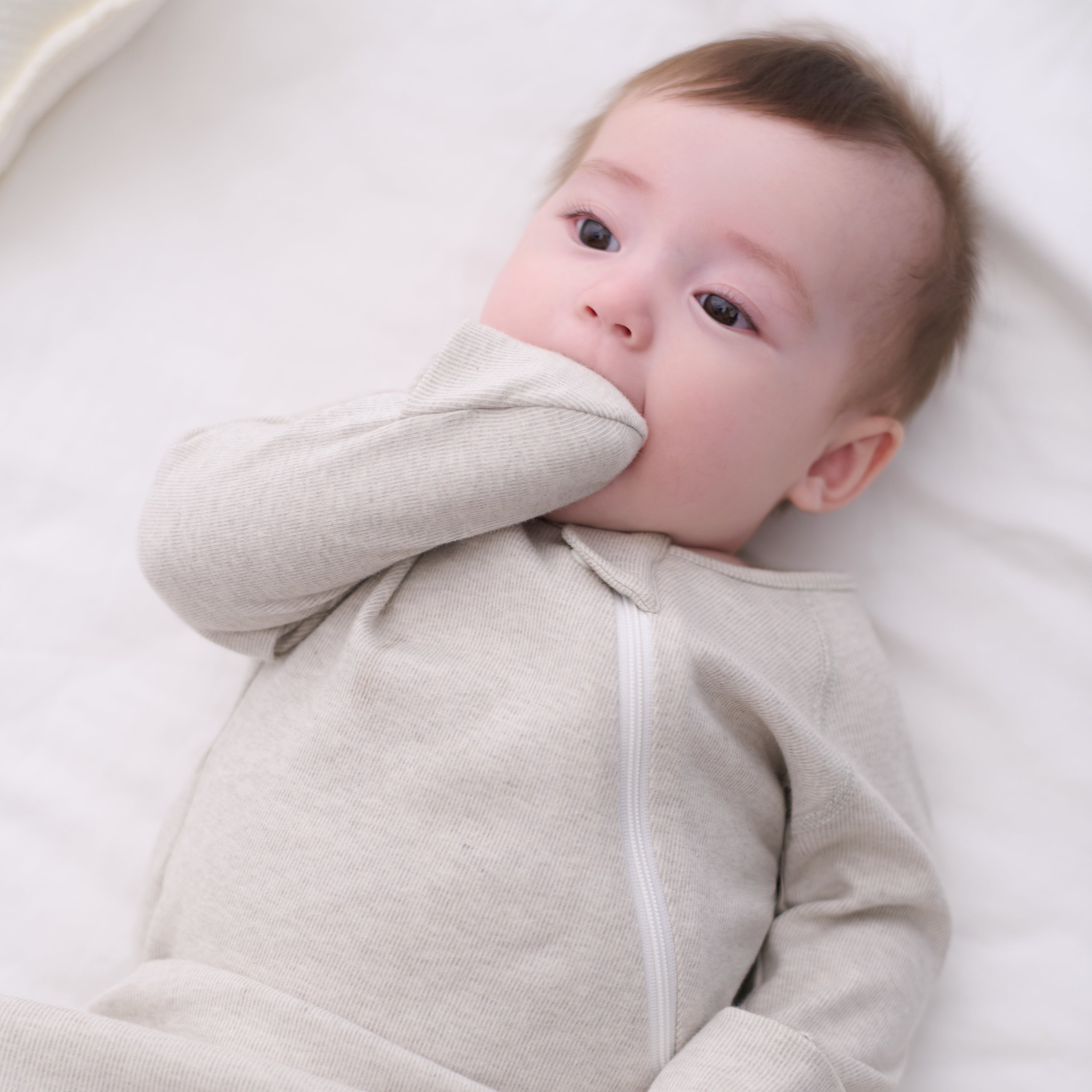 Silver Birch Light #color_Silver Birch Light