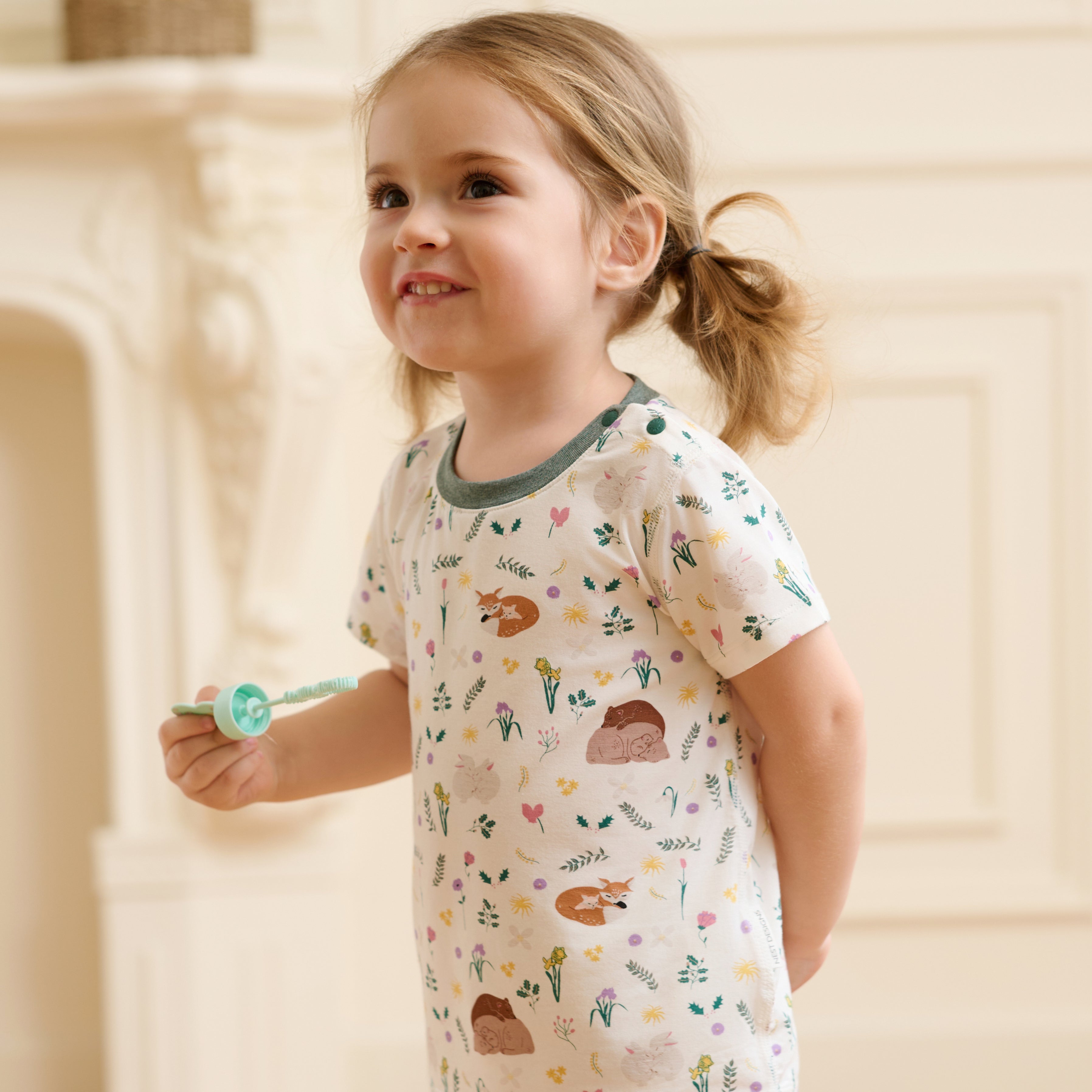 Petit Somme #color_Petit Somme