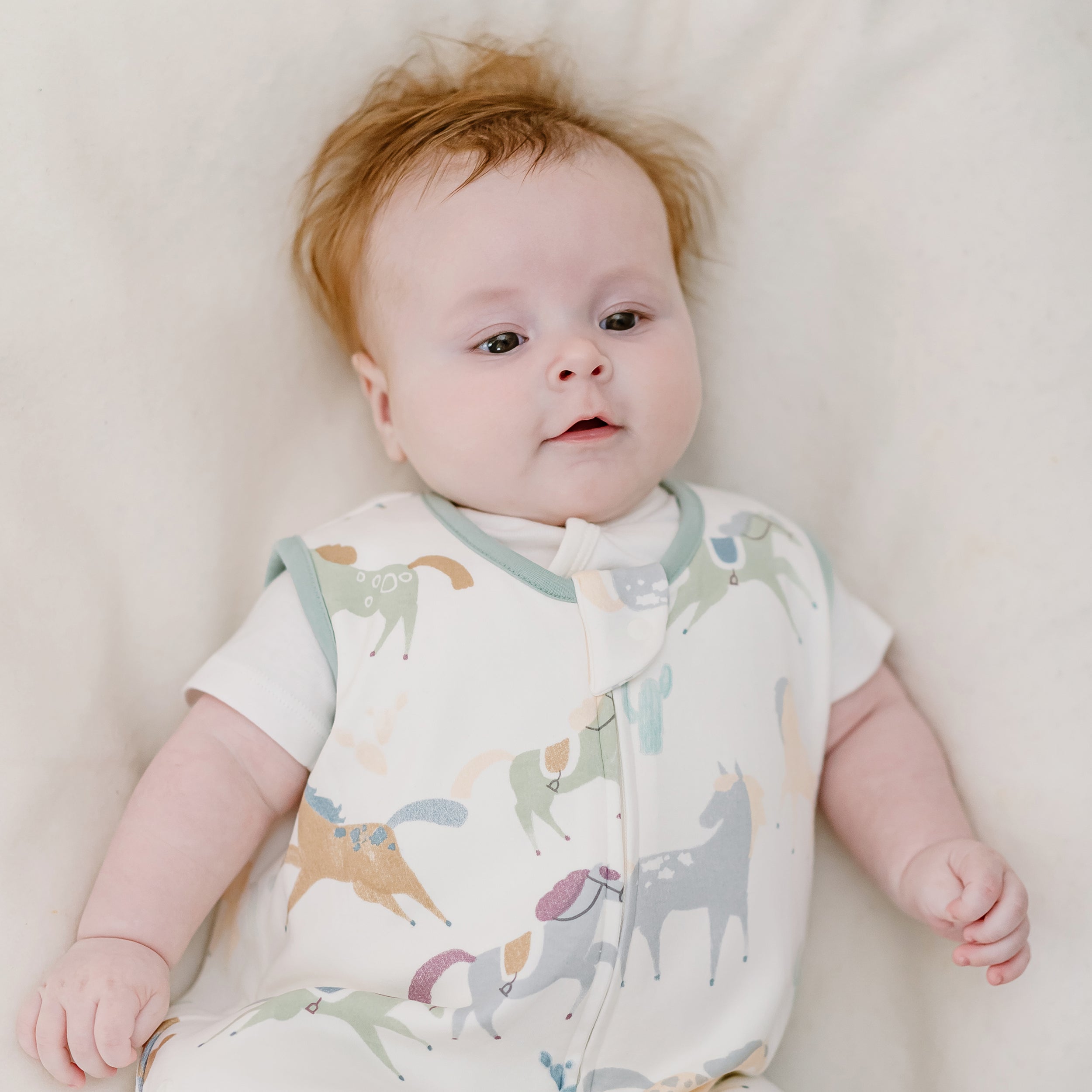 Pony Express #color_Pony Express