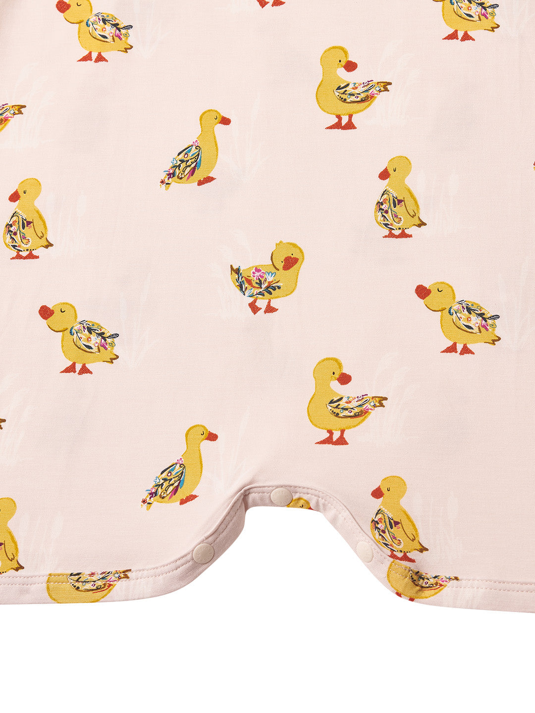 Five Little Ducks #color_Five Little Ducks
