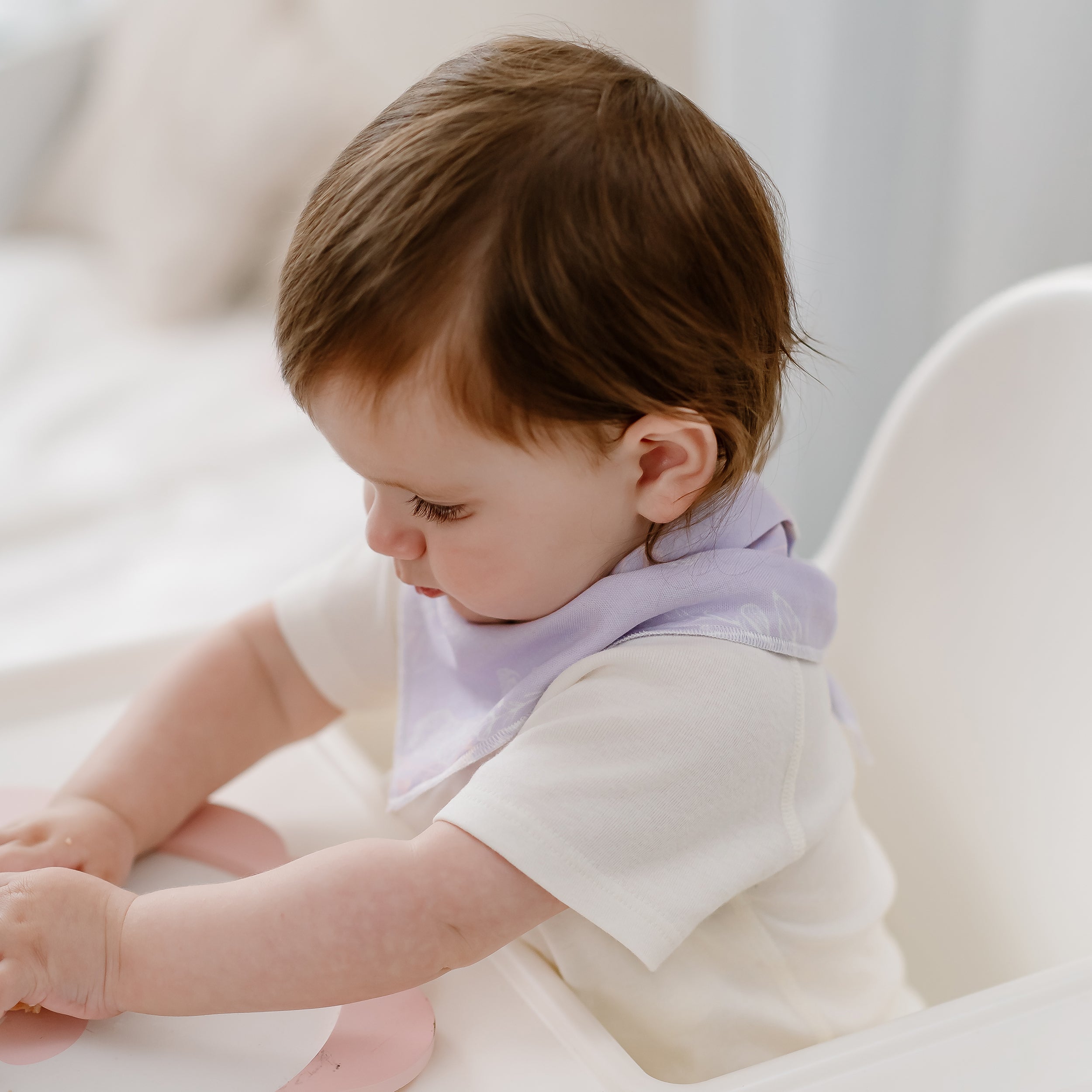 Lavender Fields #color_Lavender Fields