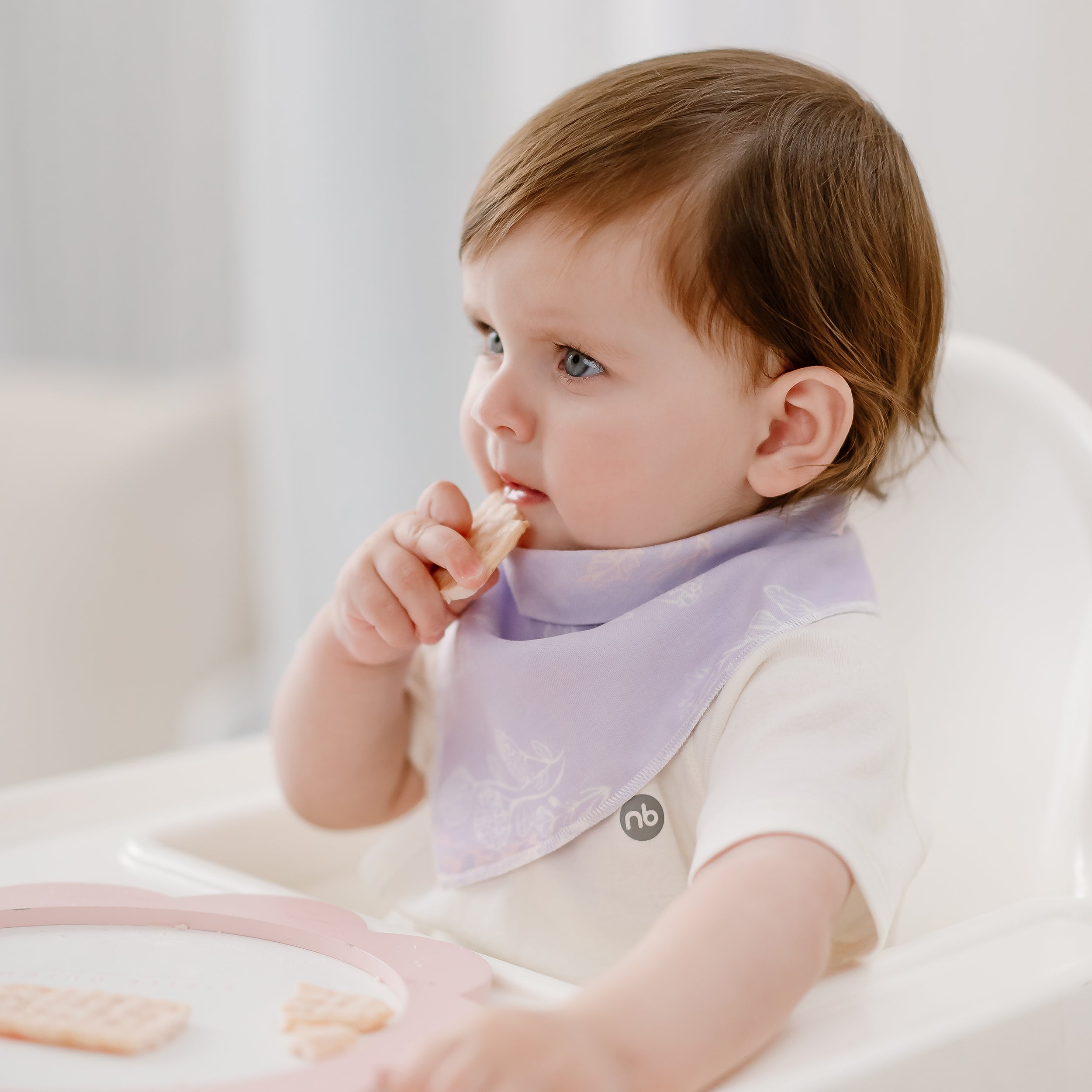 Lavender Fields #color_Lavender Fields