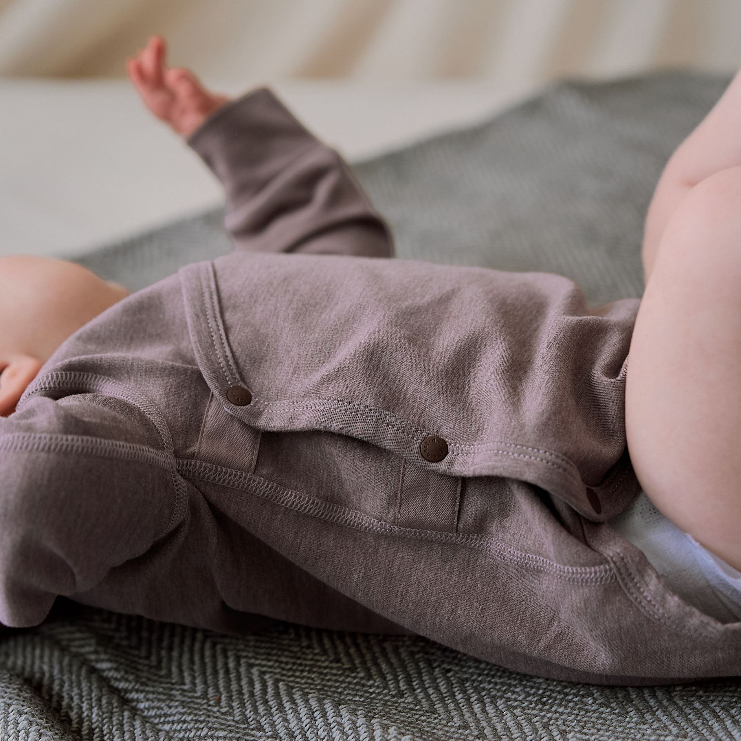 Elderberry #color_Elderberry