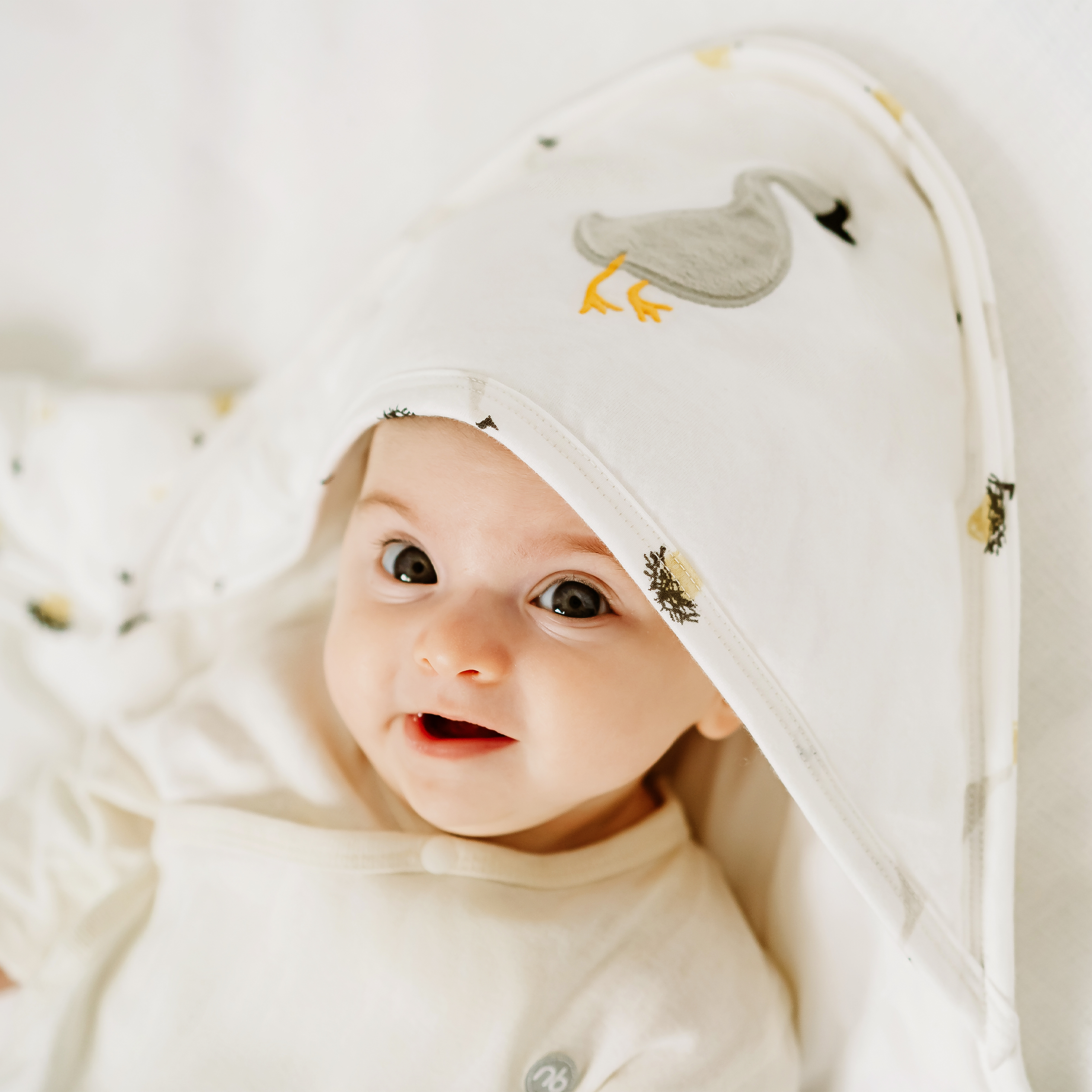 Cotton Jersey Hooded Blanket