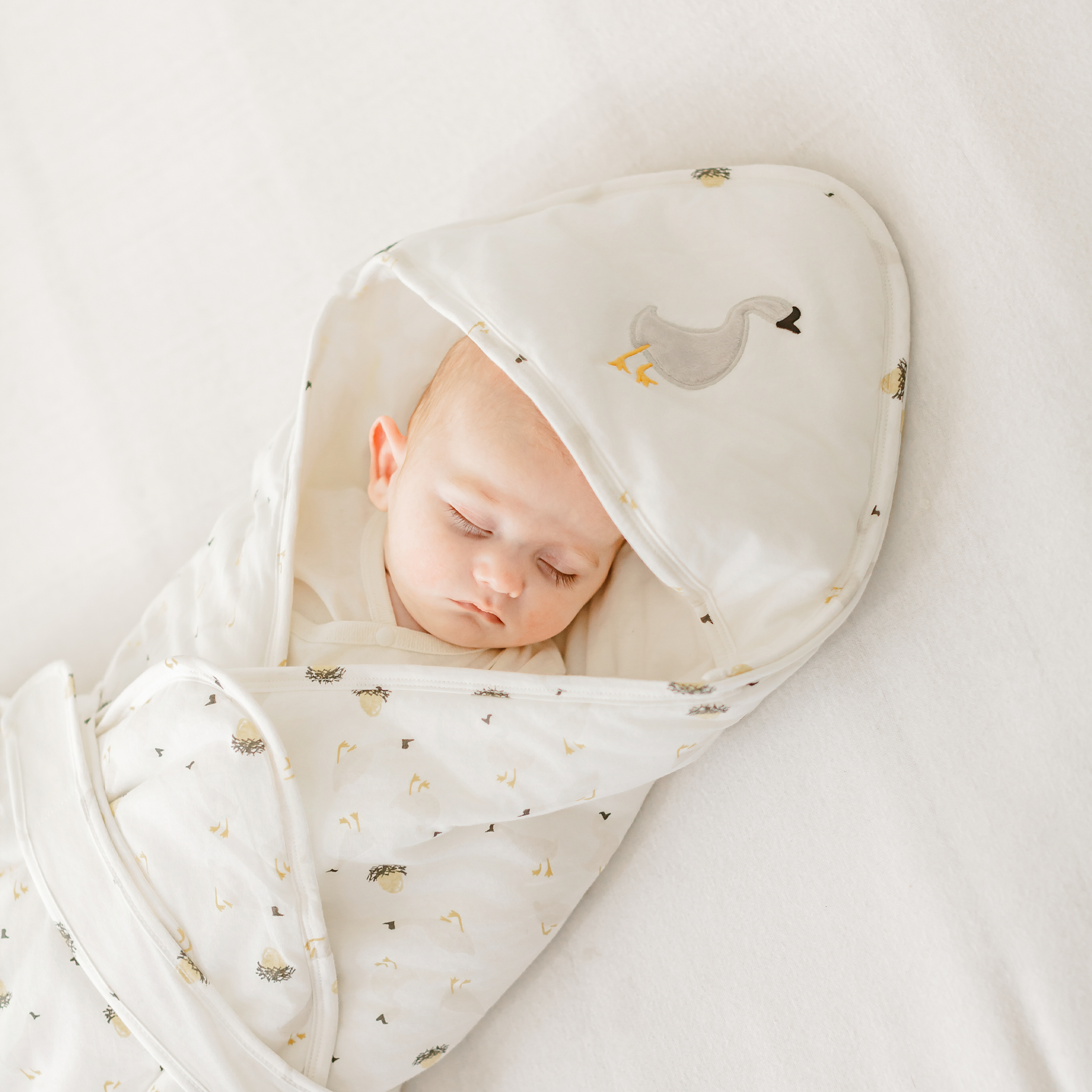 Cotton Jersey Hooded Blanket