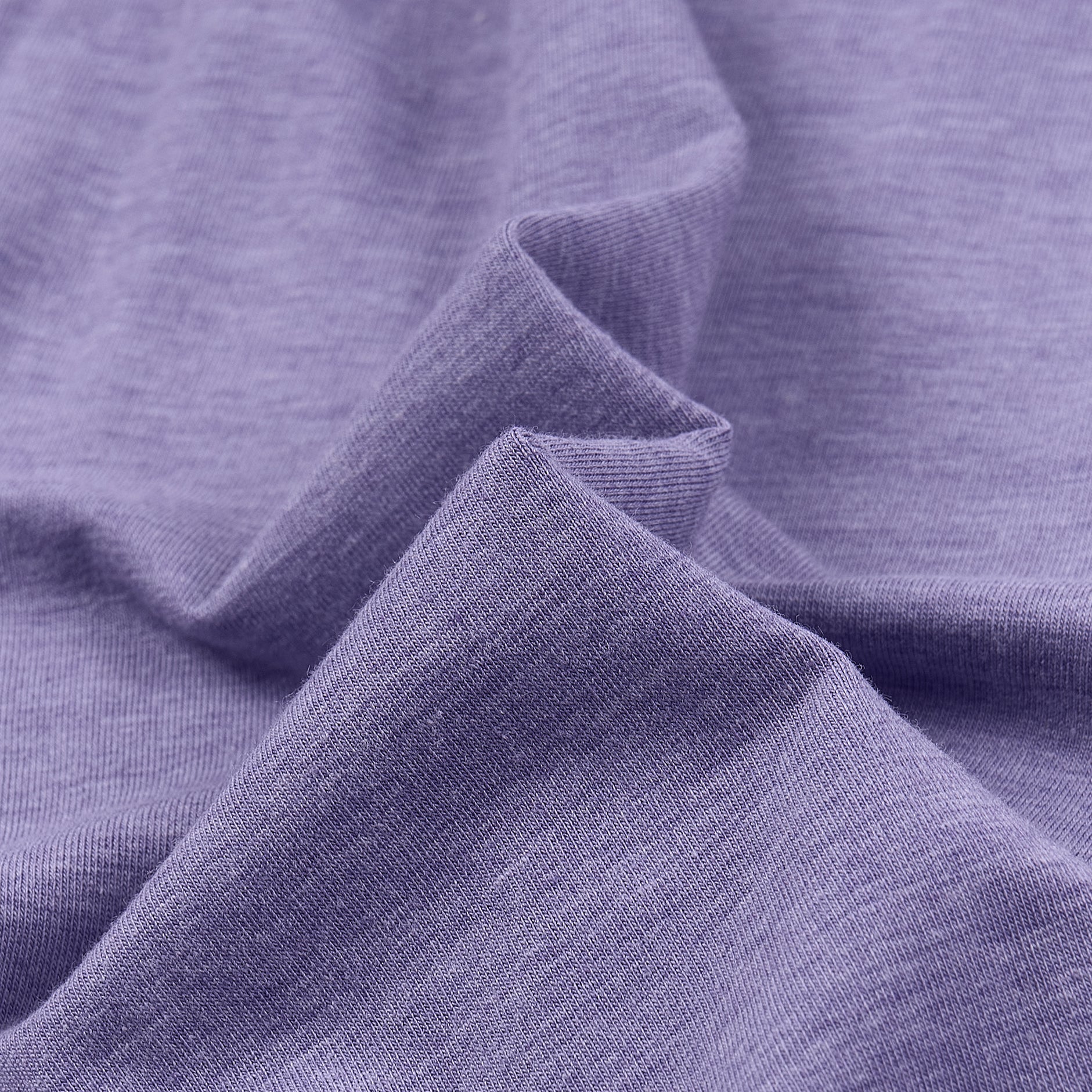 Violet Blooms #color_Violet Blooms