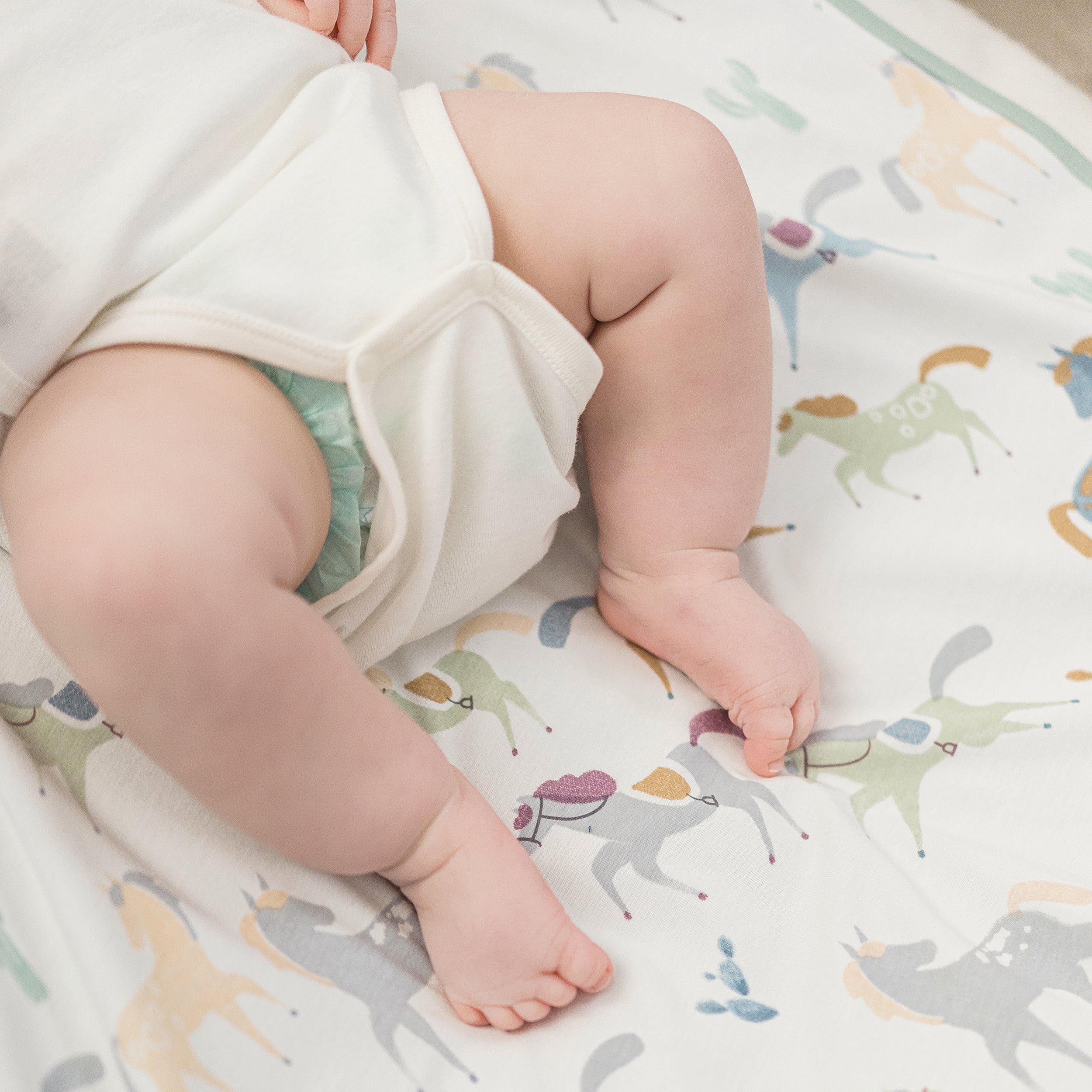 Pony Express #color_Pony Express