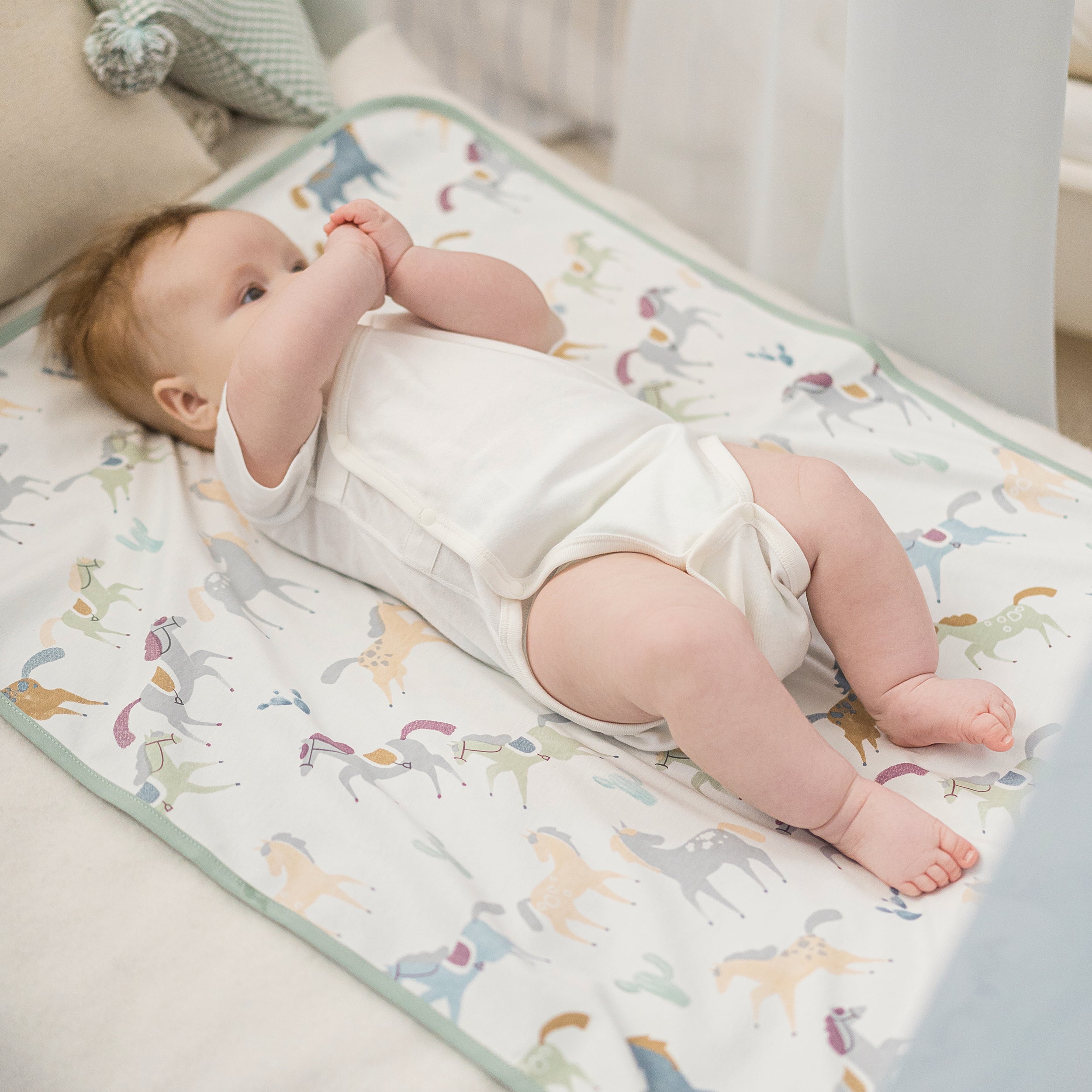 Pony Express #color_Pony Express