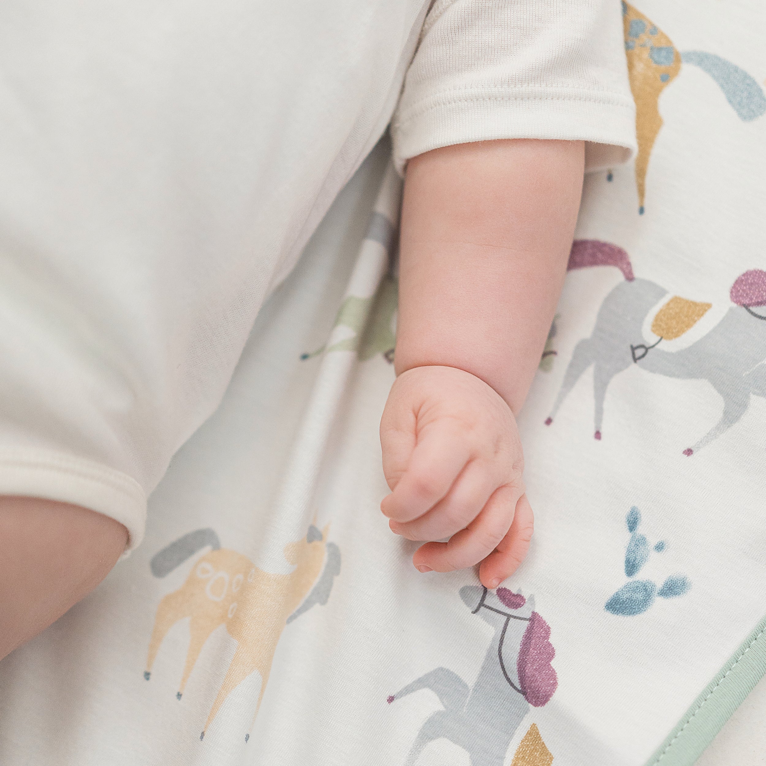 Pony Express #color_Pony Express