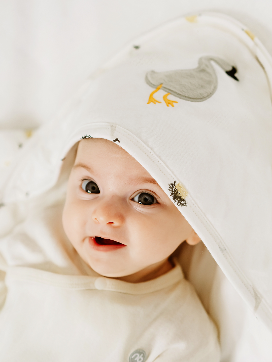 Cotton Jersey Hooded Blanket