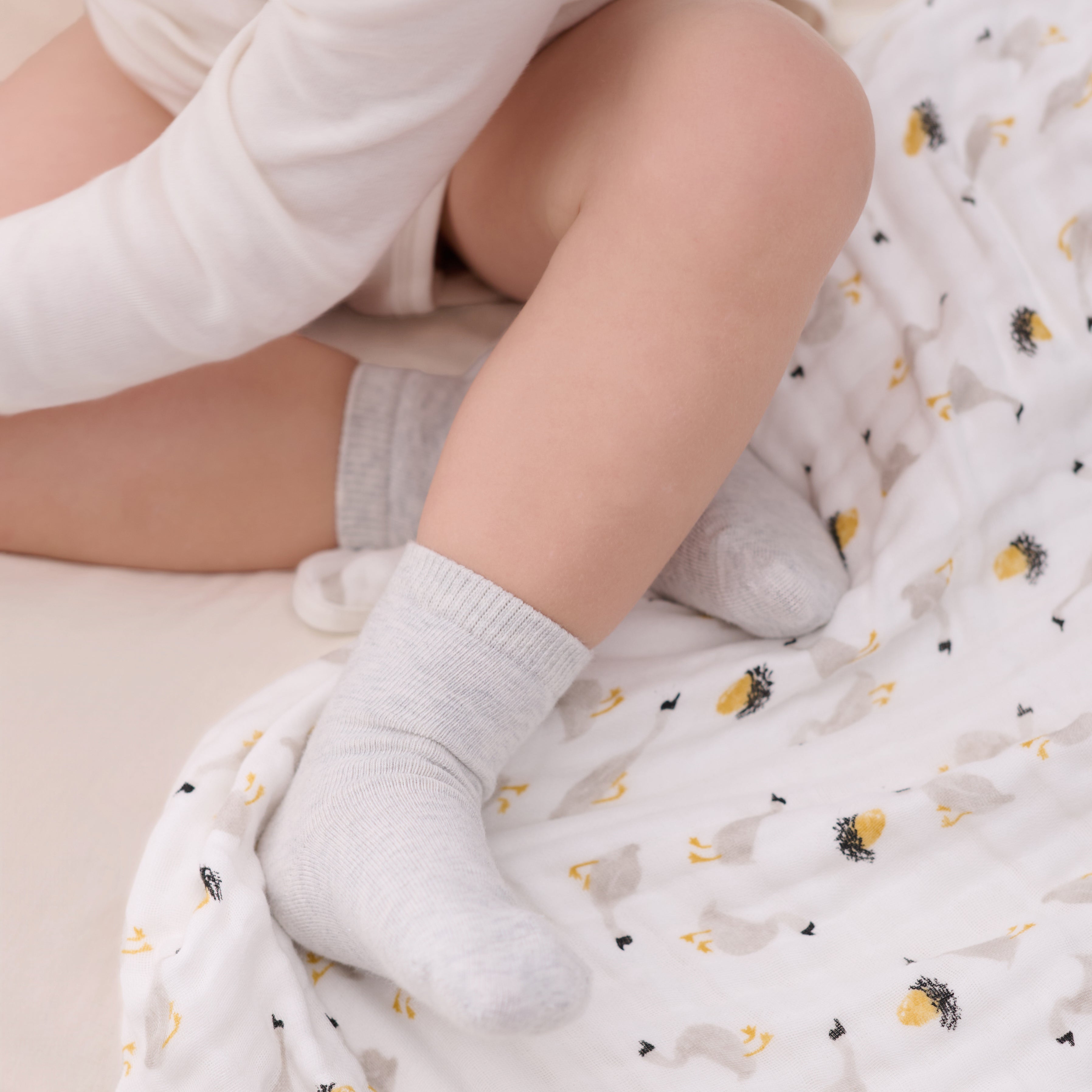 Fog Grey #color_Fog Grey