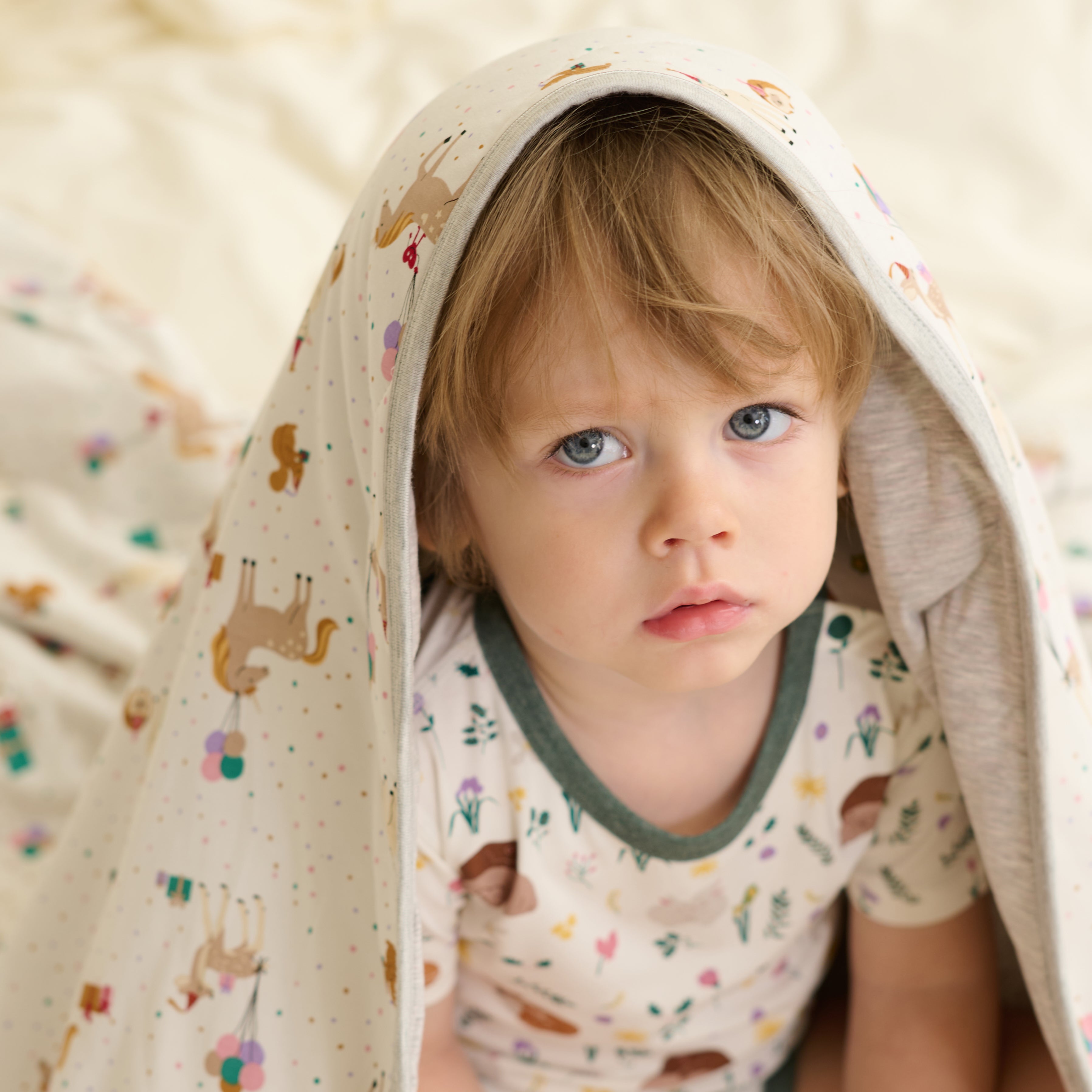 Petit Somme #color_Petit Somme