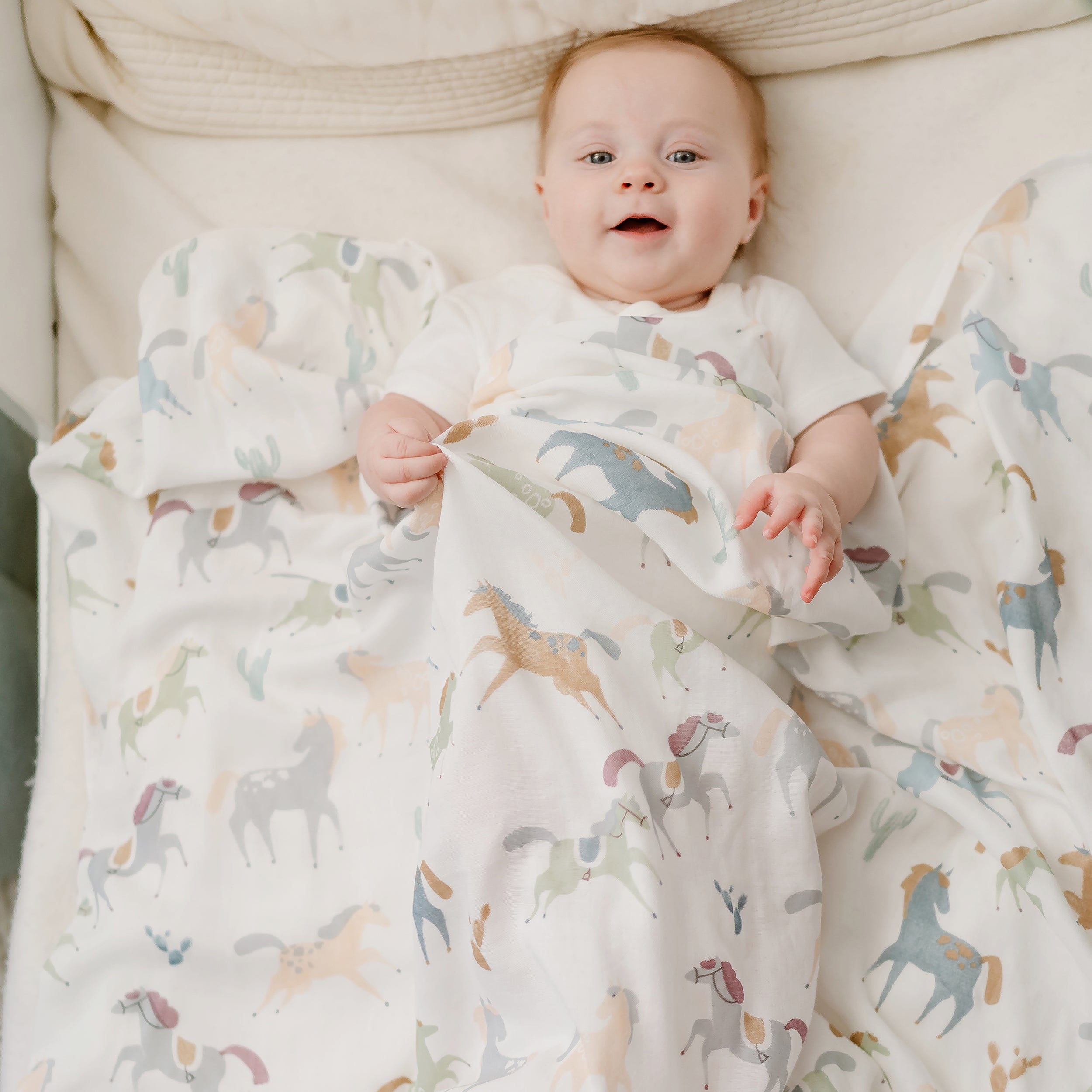 Pony Express #color_Pony Express