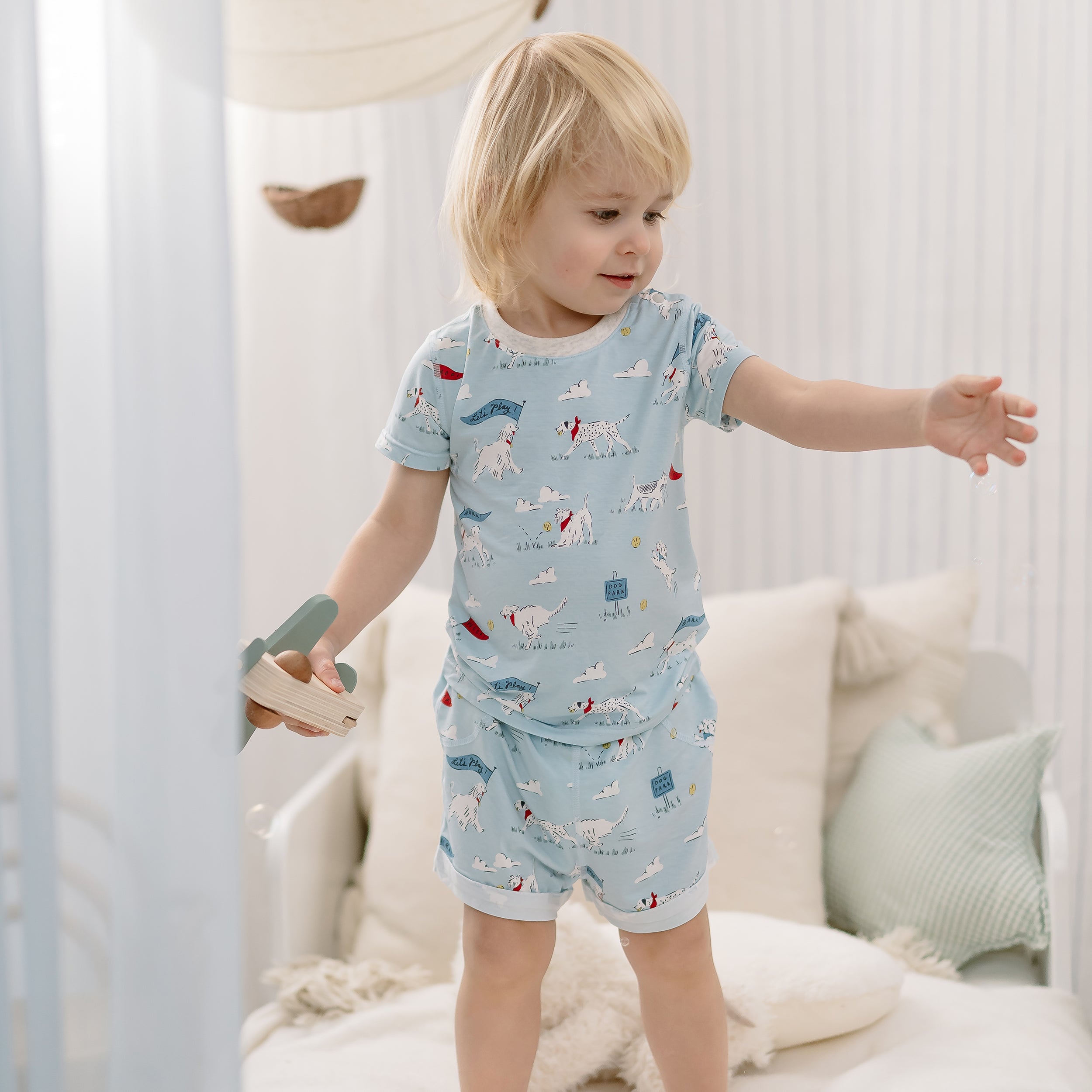 Puppy Park #color_Puppy Park