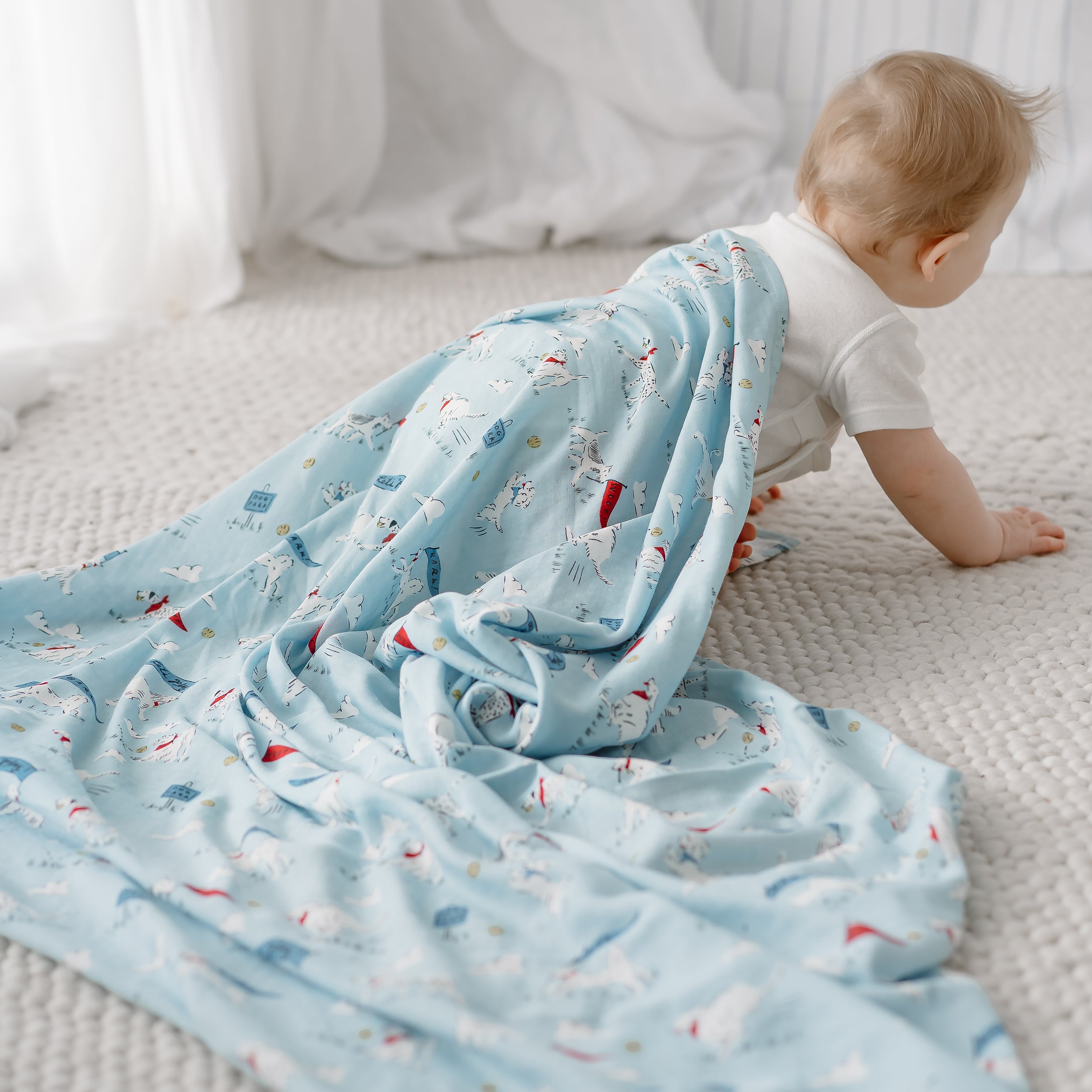 Puppy Park #color_Puppy Park