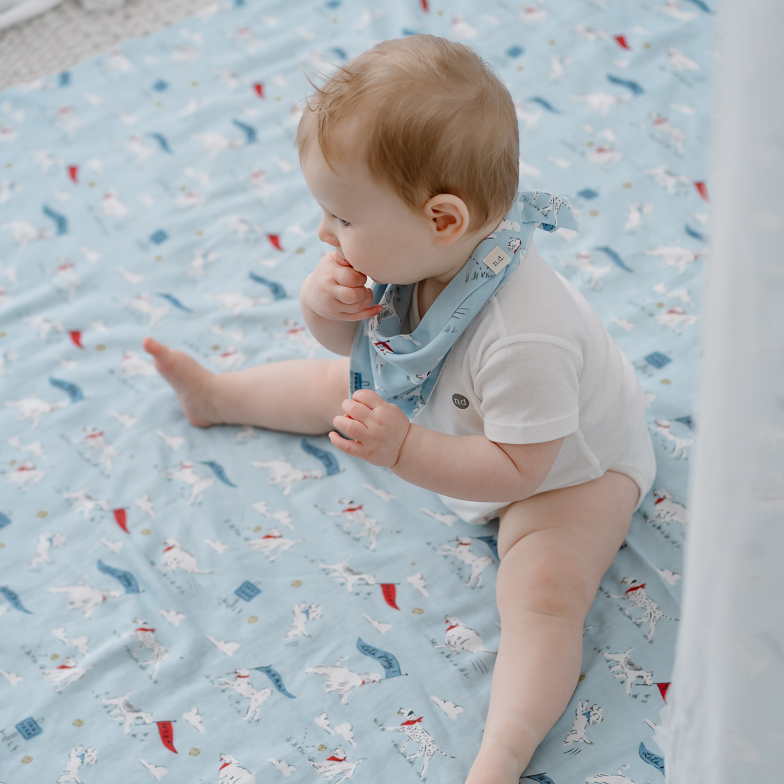 Puppy Park #color_Puppy Park