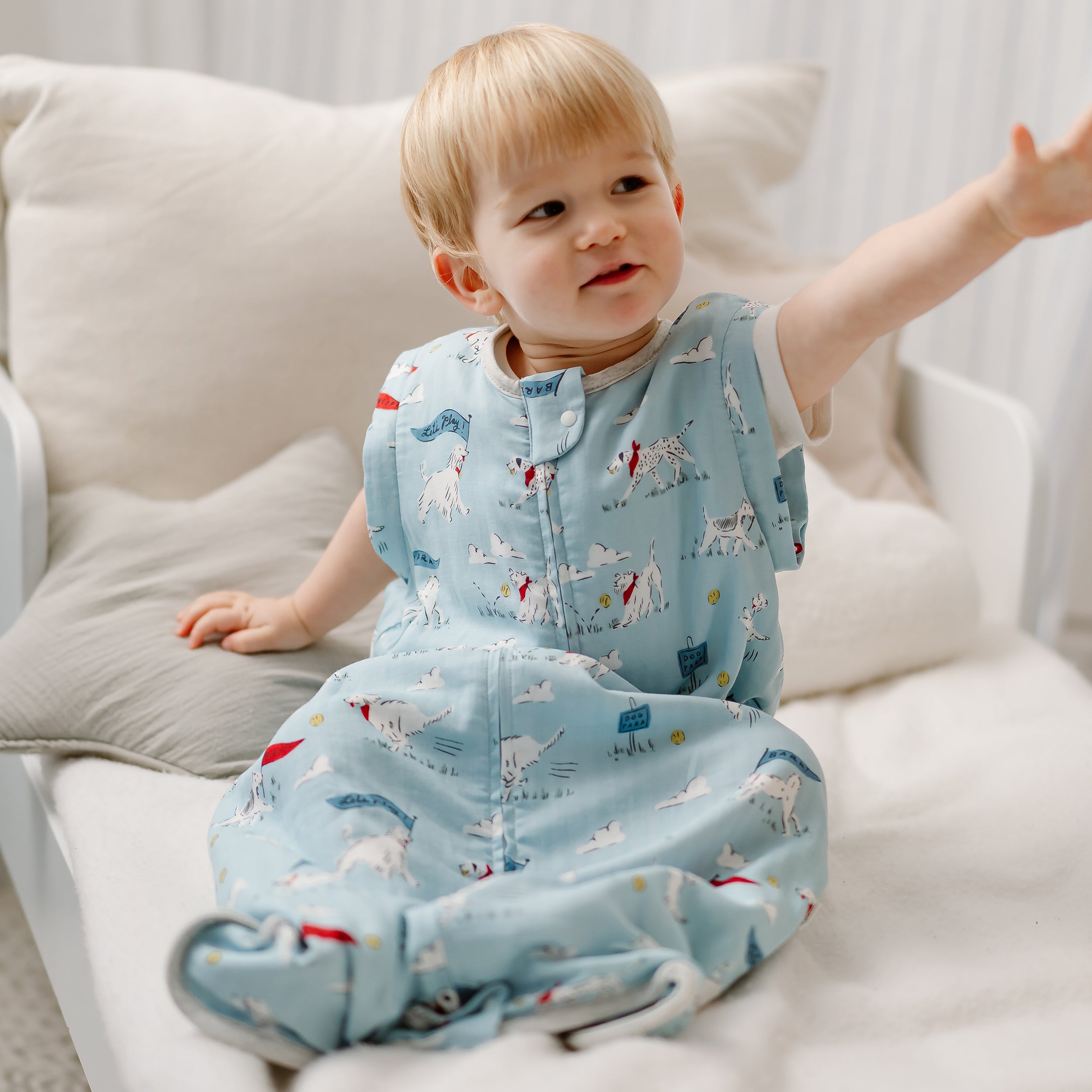 Puppy Park #color_Puppy Park