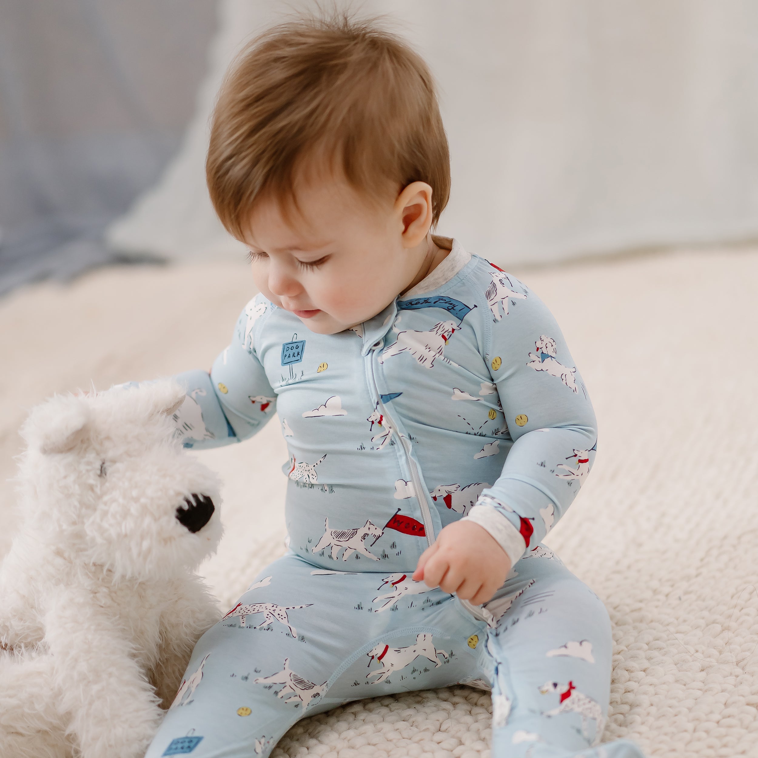 Puppy Park #color_Puppy Park