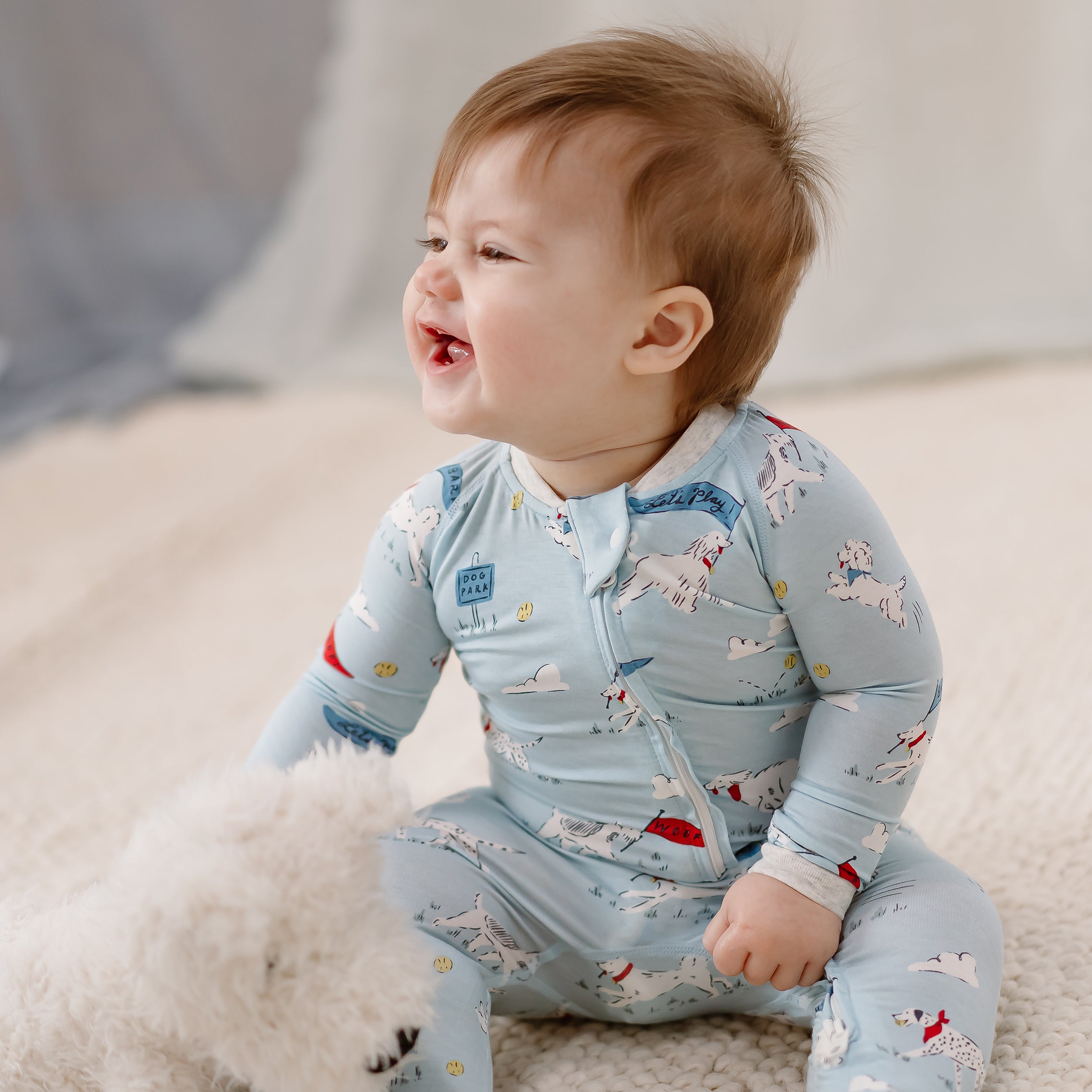 Puppy Park #color_Puppy Park