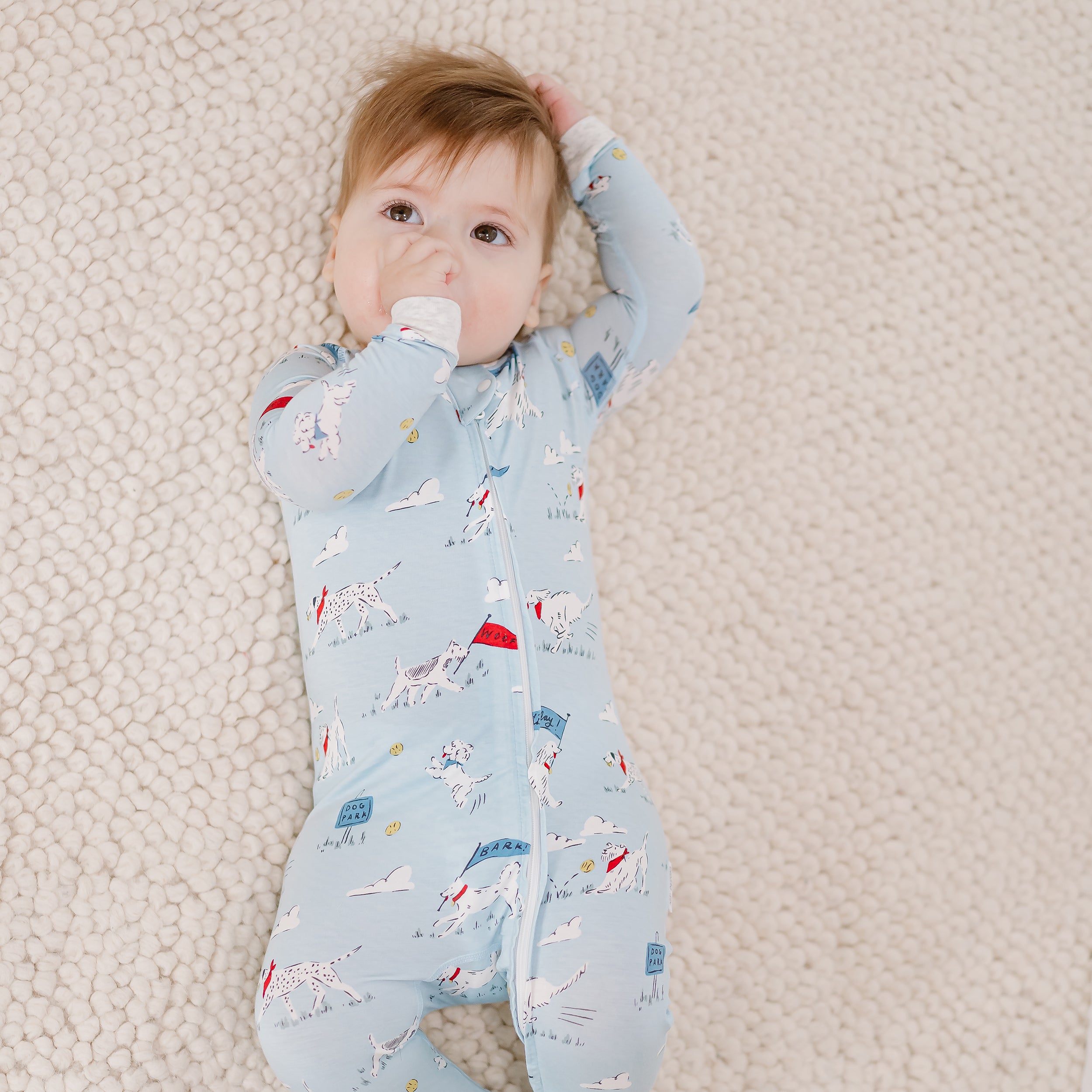 Puppy Park #color_Puppy Park