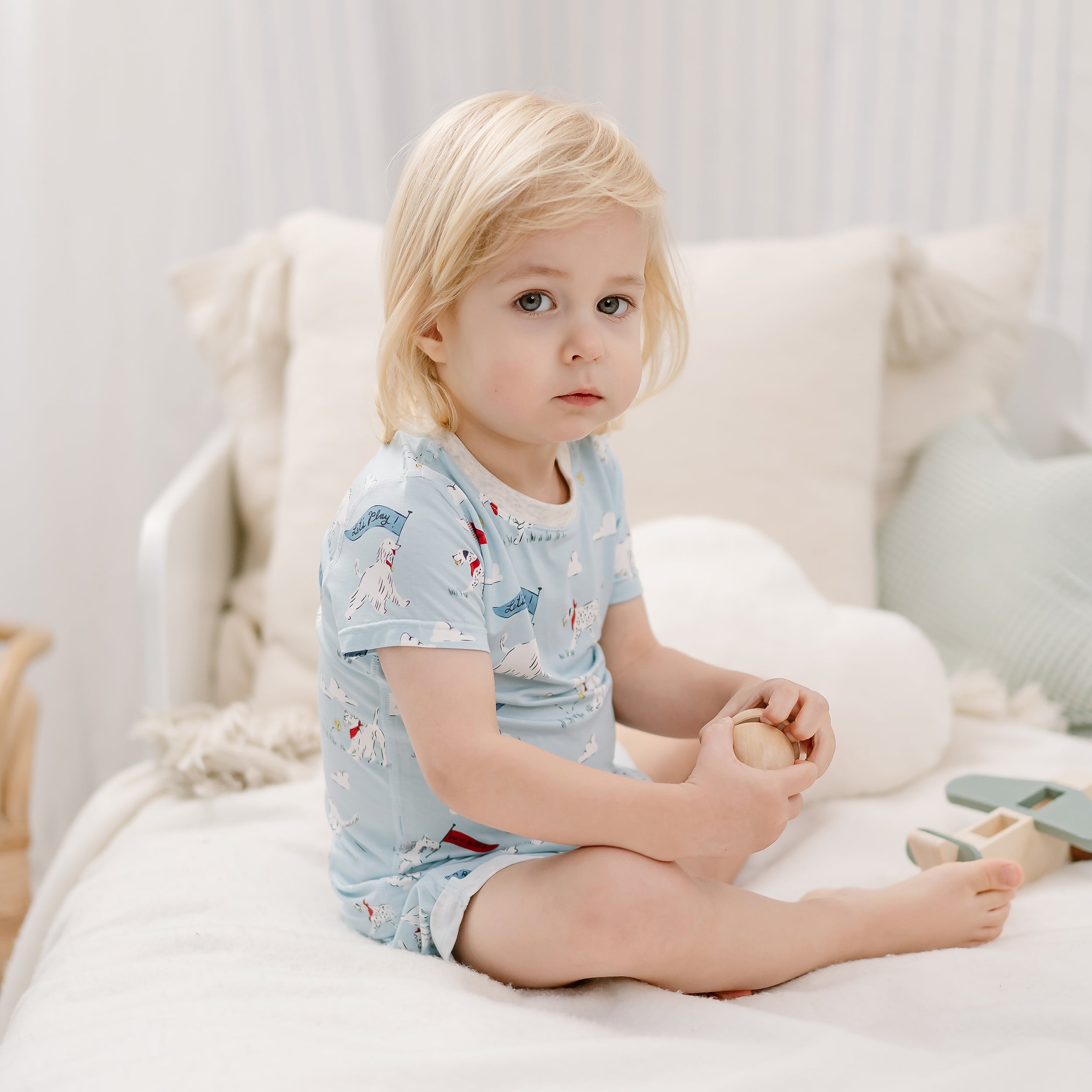 Puppy Park #color_Puppy Park