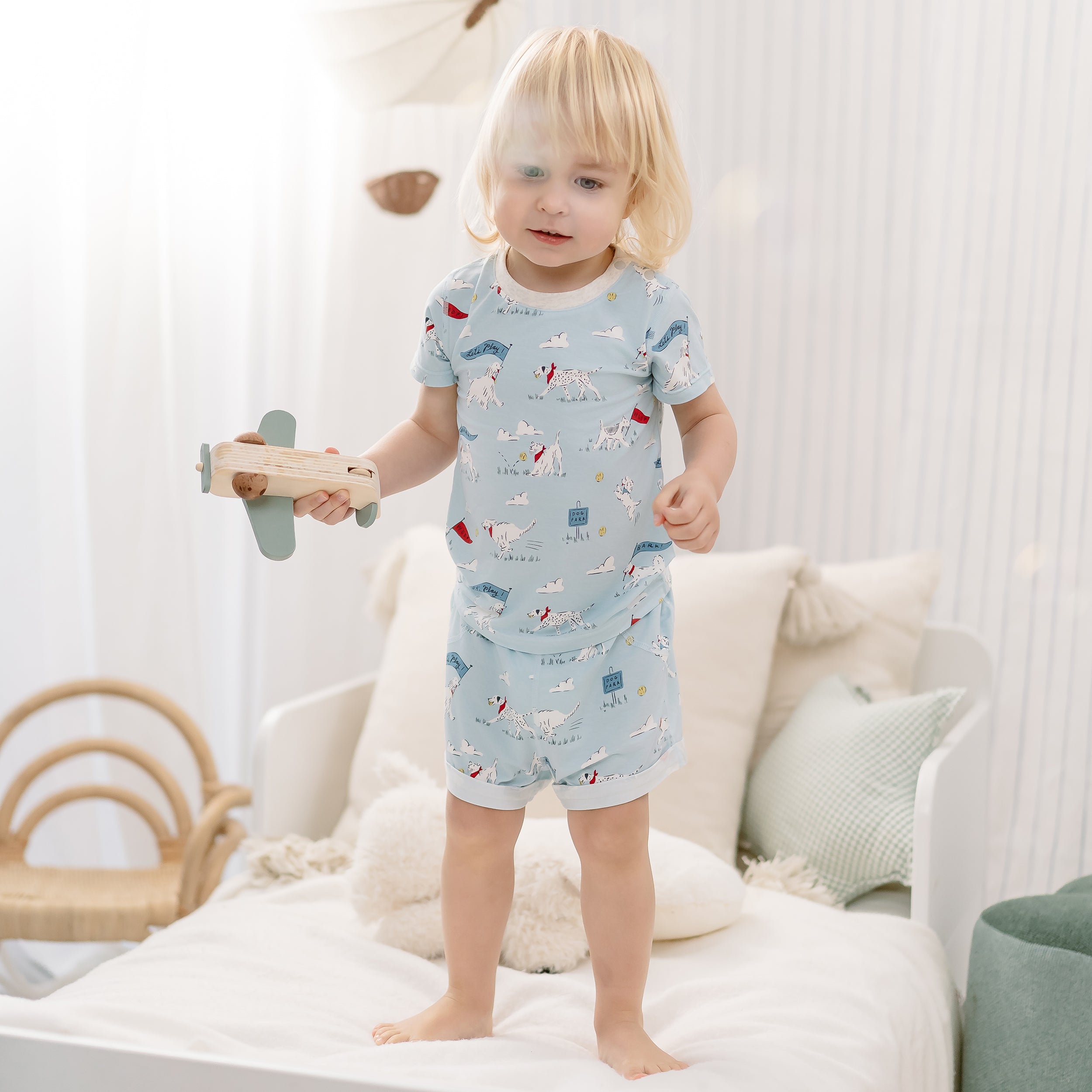 Puppy Park #color_Puppy Park