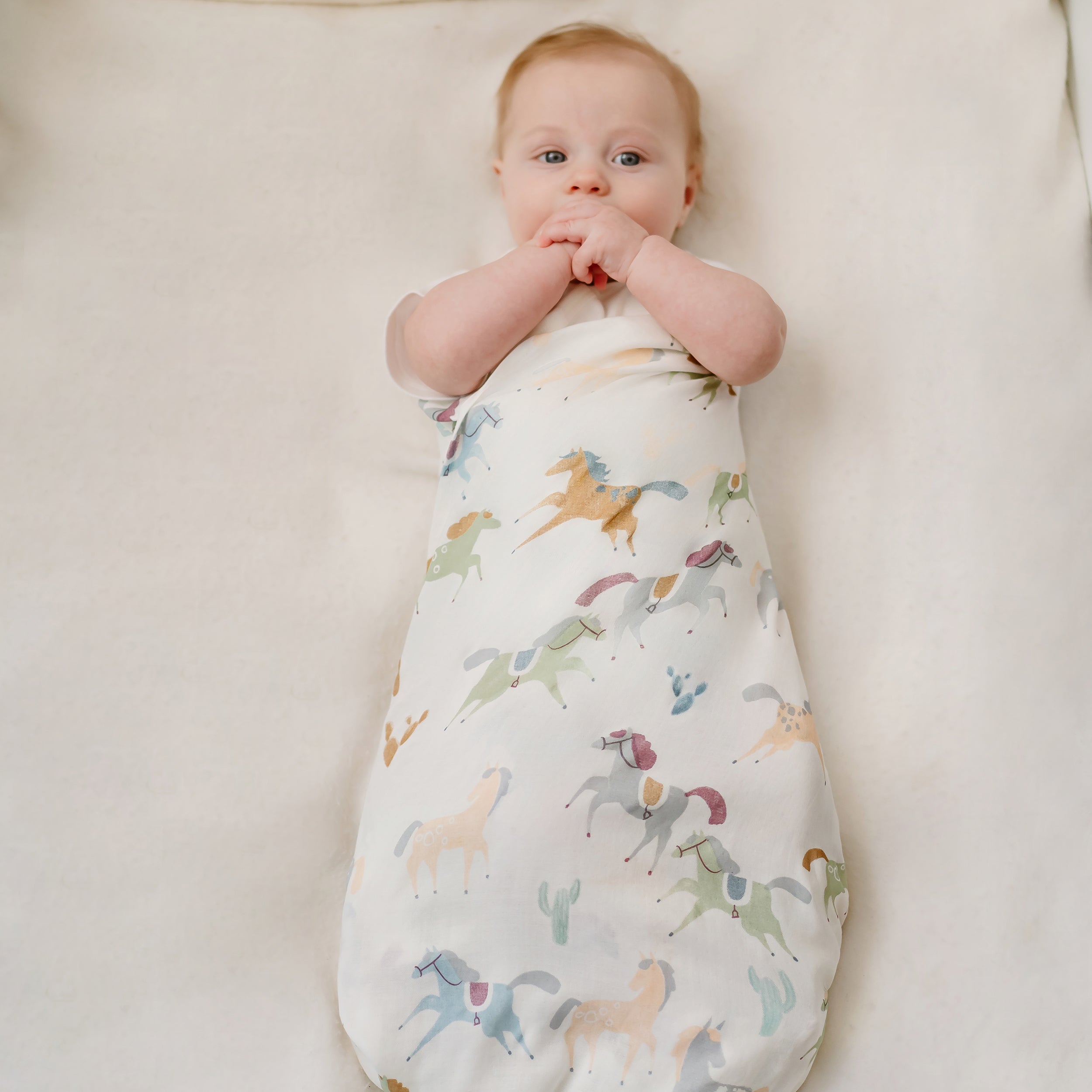 Pony Express #color_Pony Express