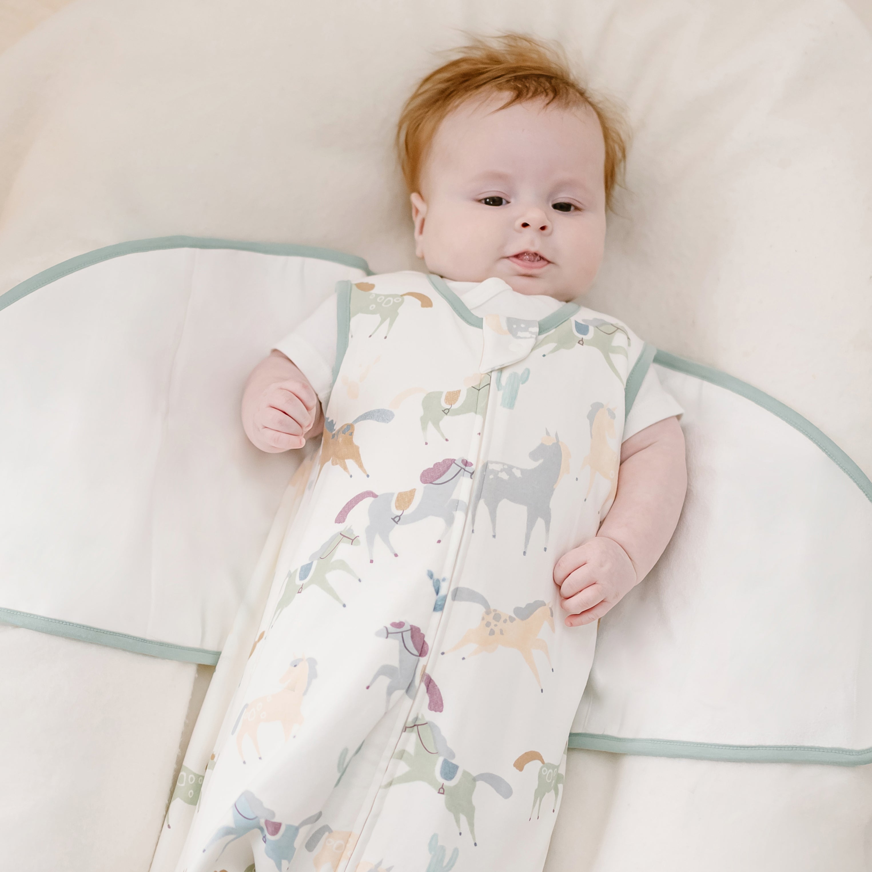 Pony Express #color_Pony Express