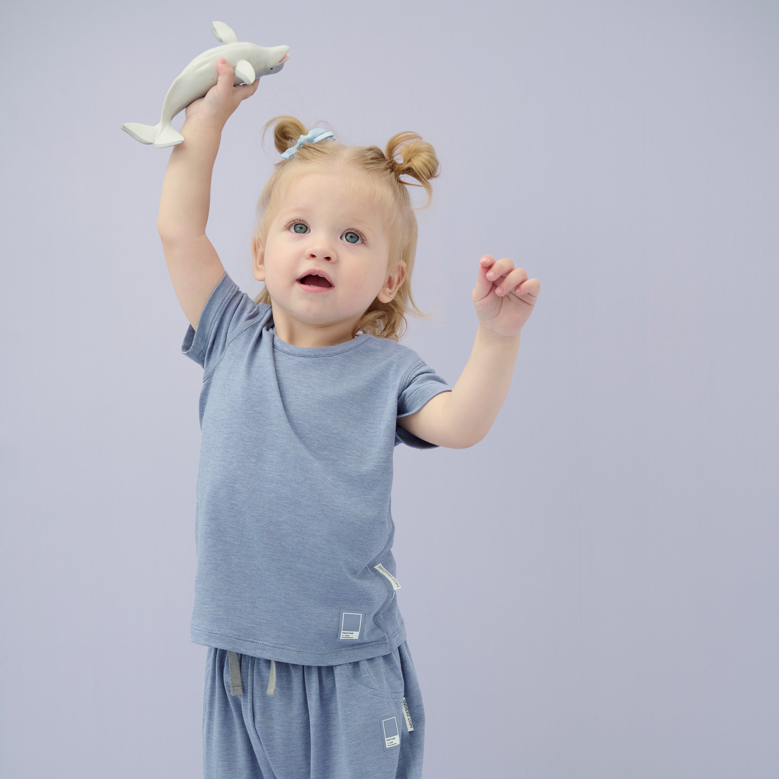 Troposphere #color_Troposphere