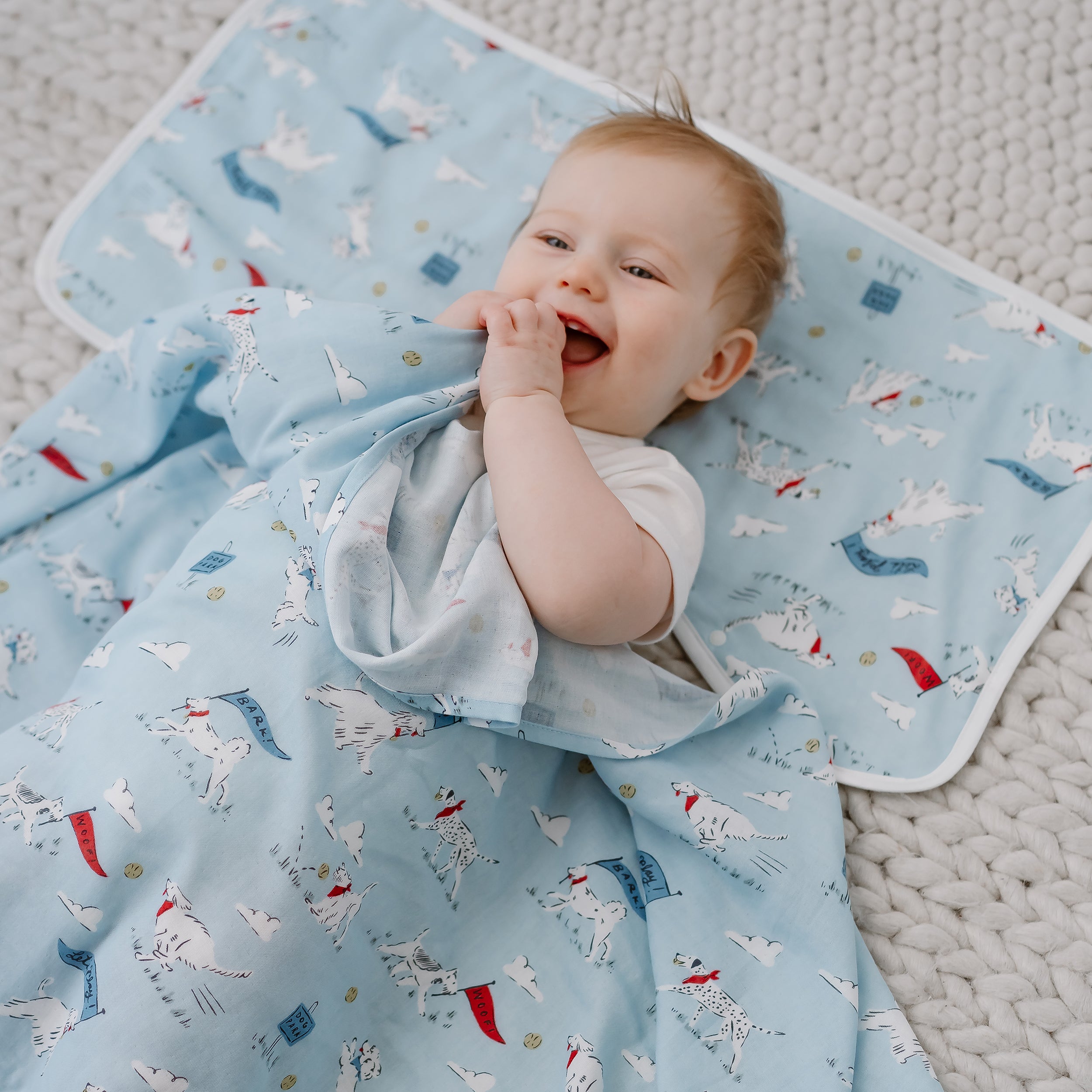 Puppy Park #color_Puppy Park