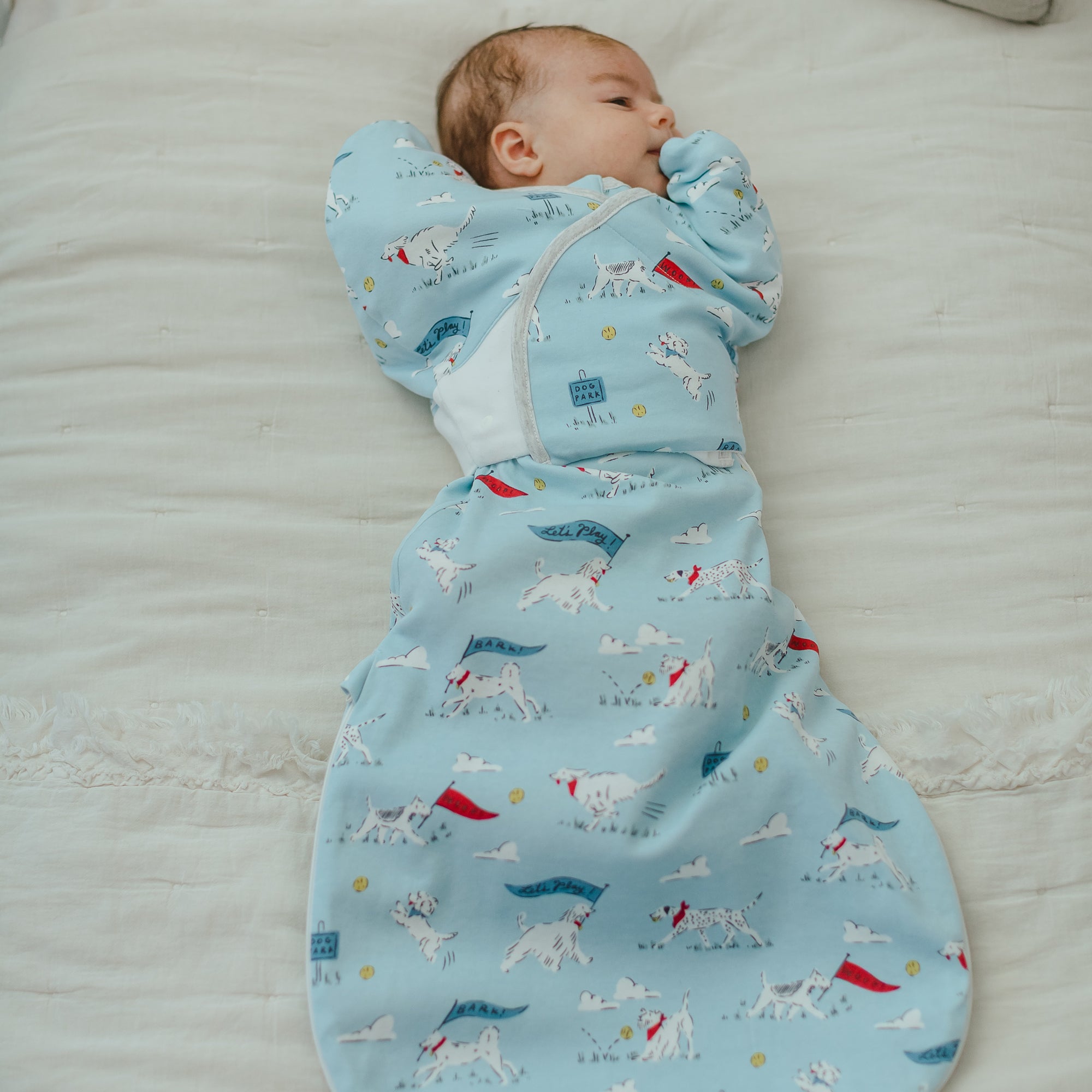 Puppy Park #color_Puppy Park