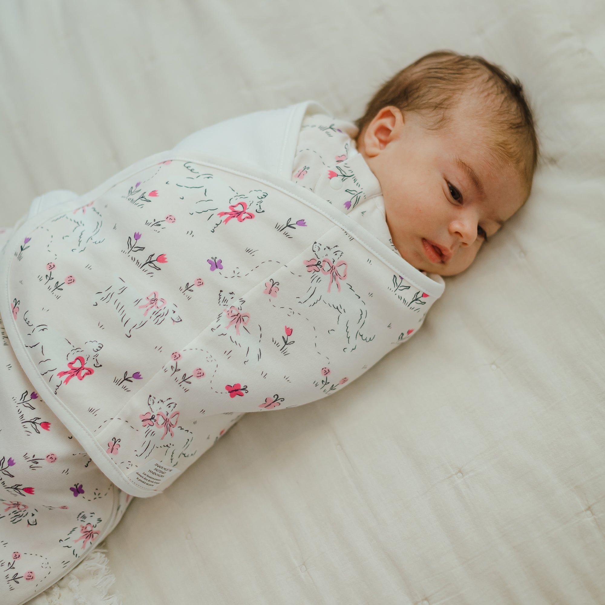 Doggie Meadow #color_Doggie Meadow