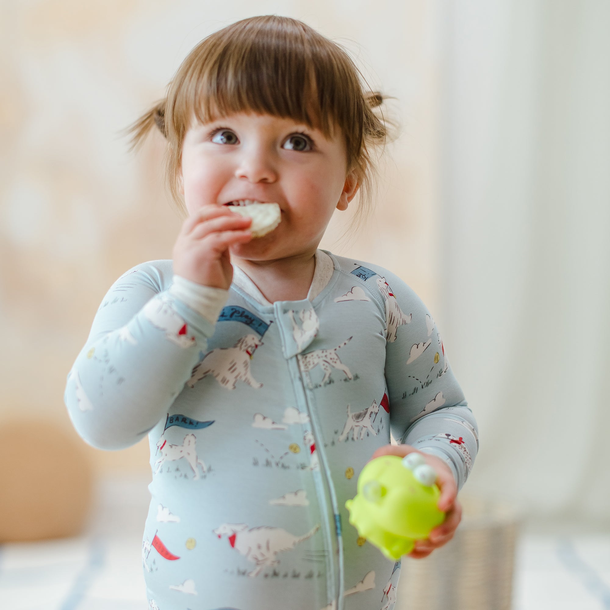 Puppy Park #color_Puppy Park