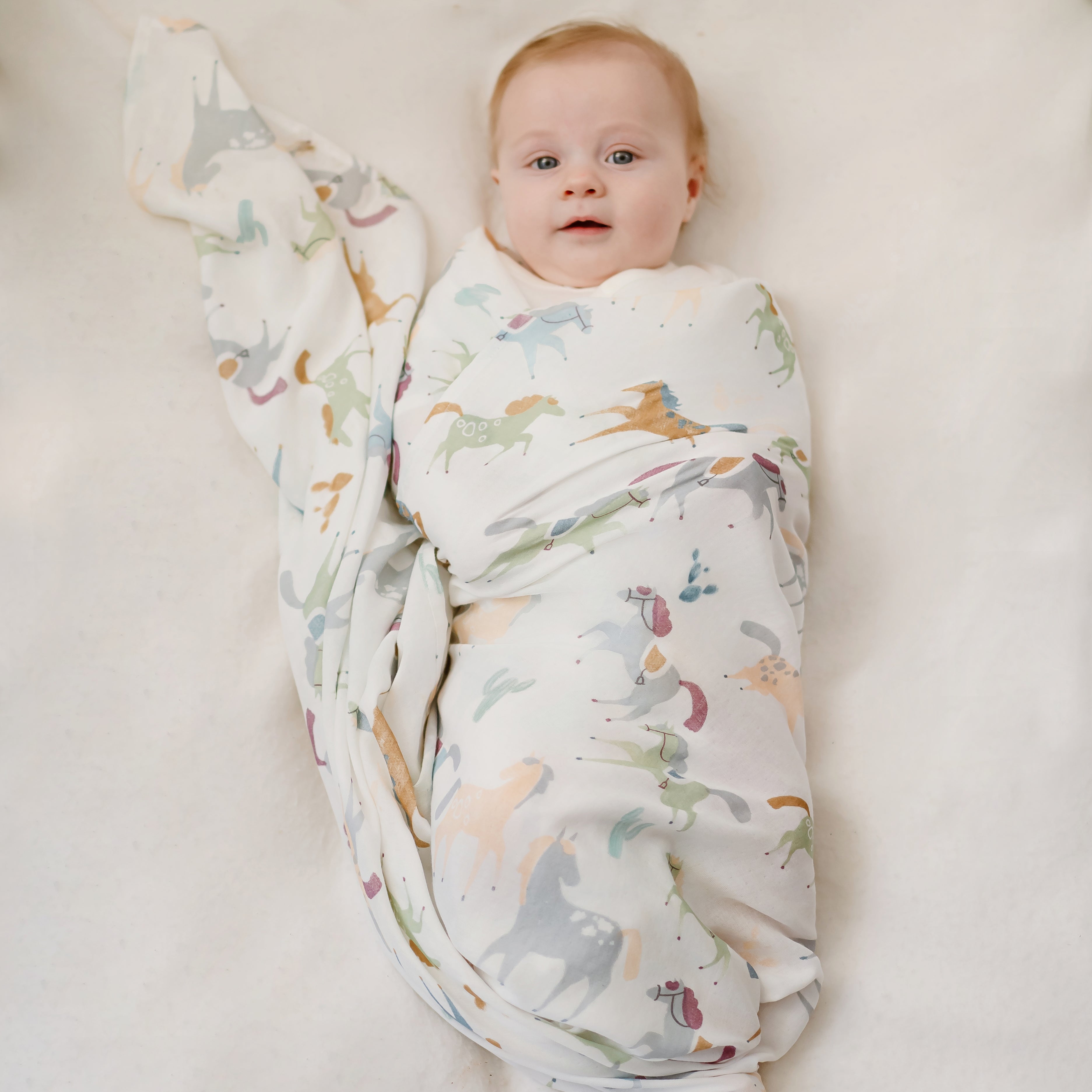 Pony Express #color_Pony Express