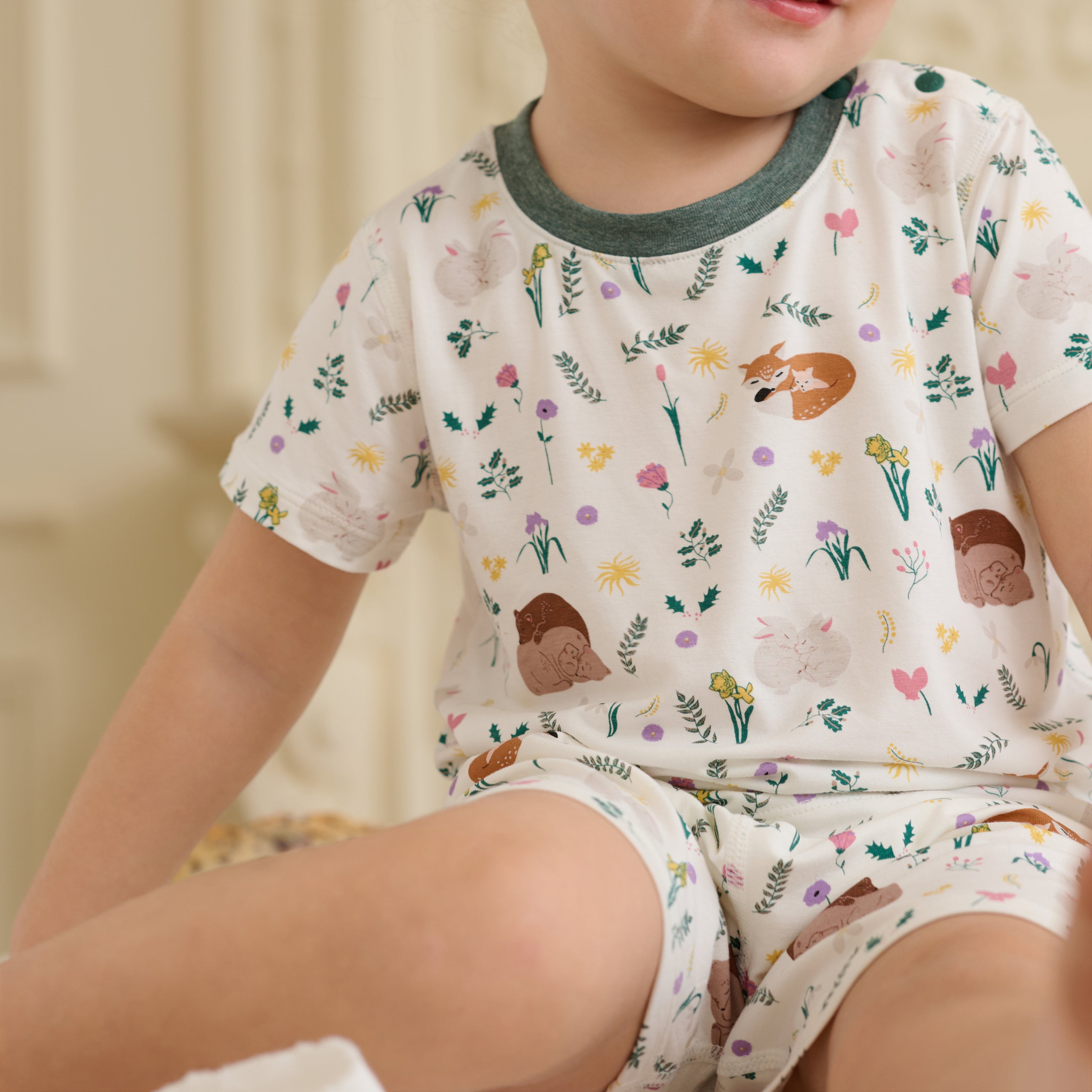 Petit Somme #color_Petit Somme