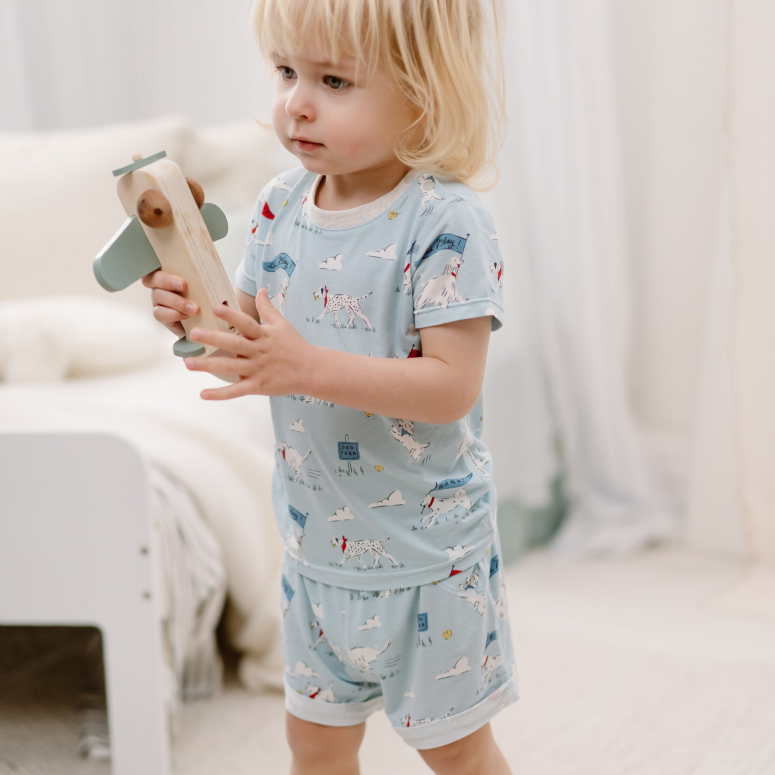 Puppy Park #color_Puppy Park