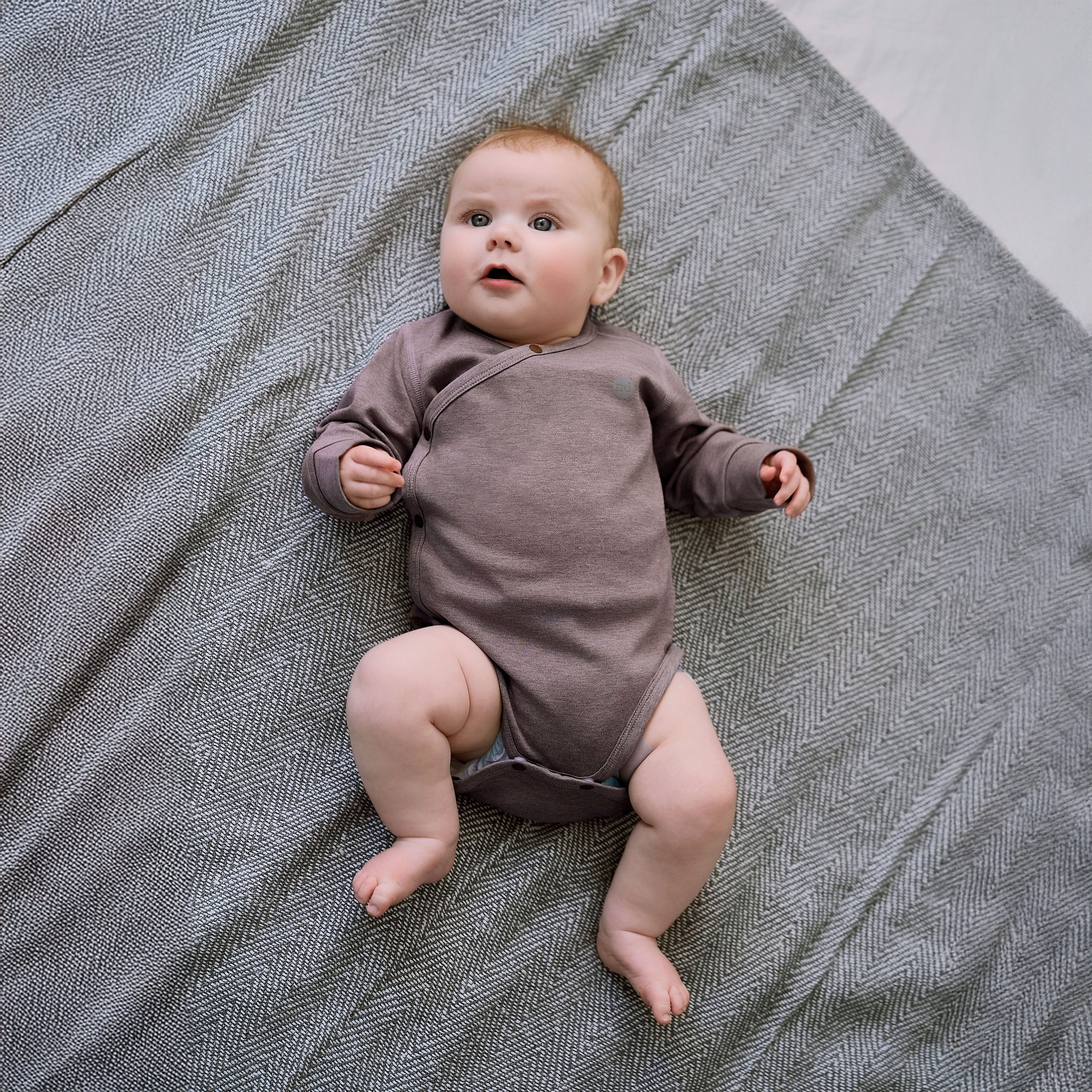 Elderberry #color_Elderberry