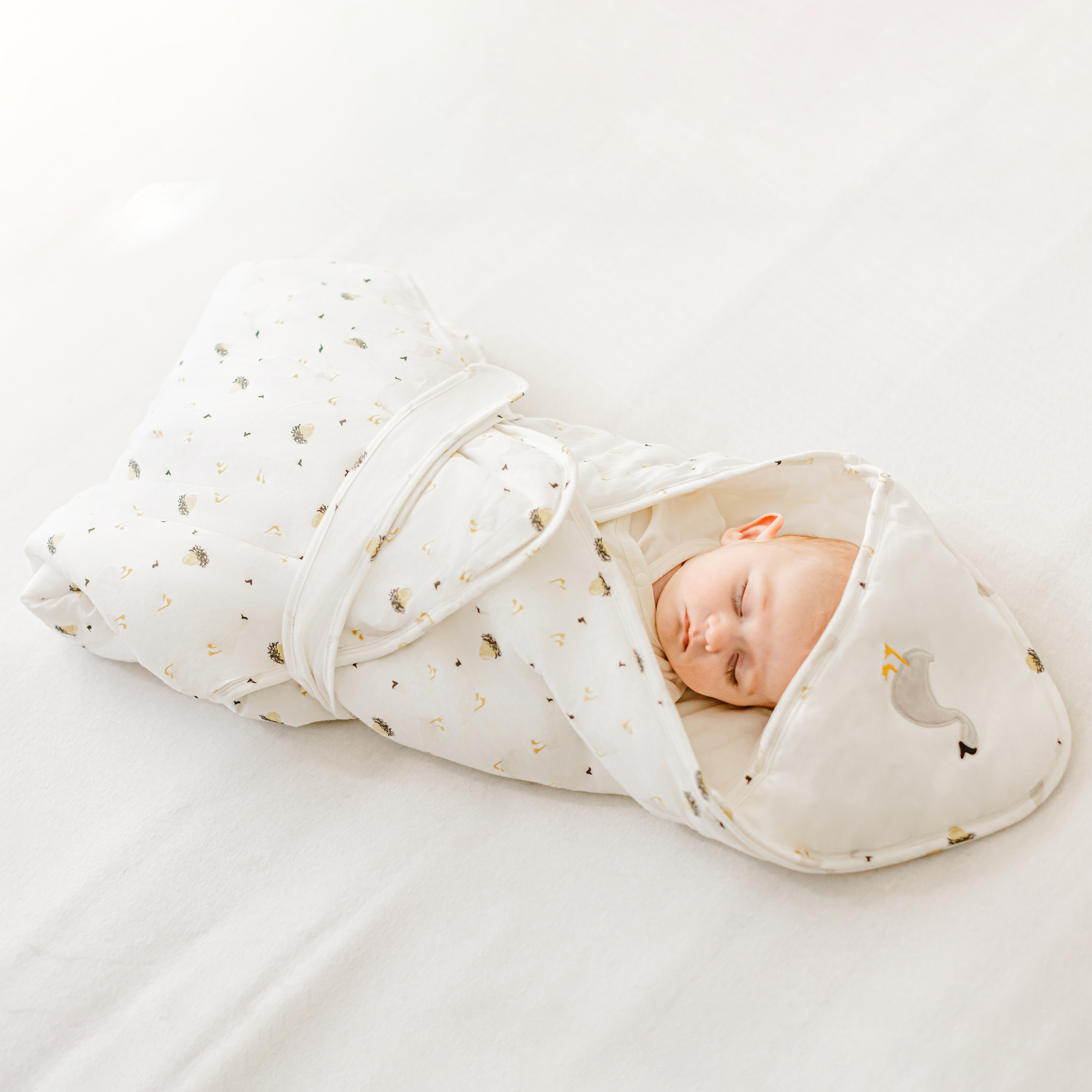 Cotton Jersey Hooded Blanket