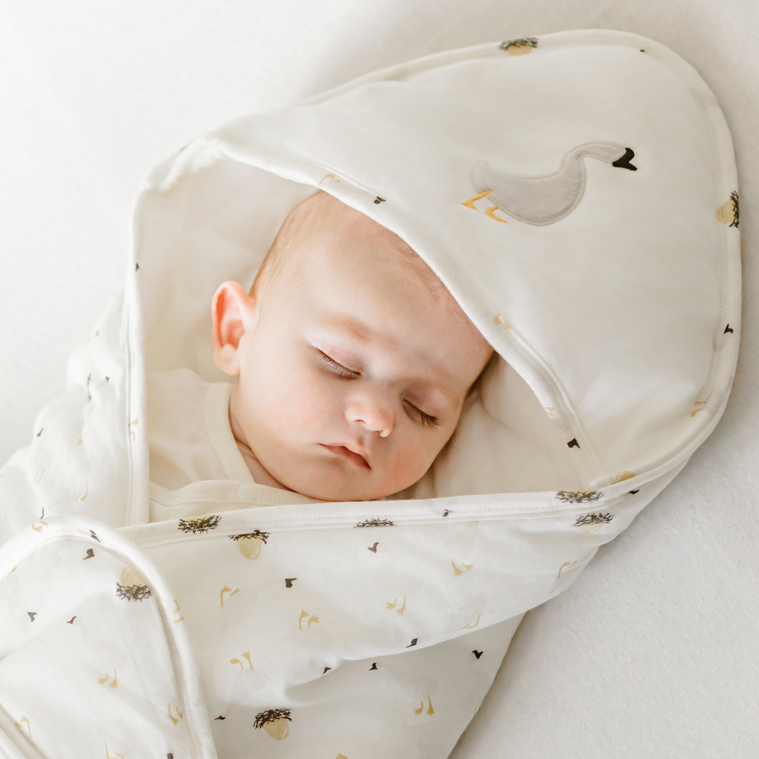 Cotton Jersey Hooded Blanket