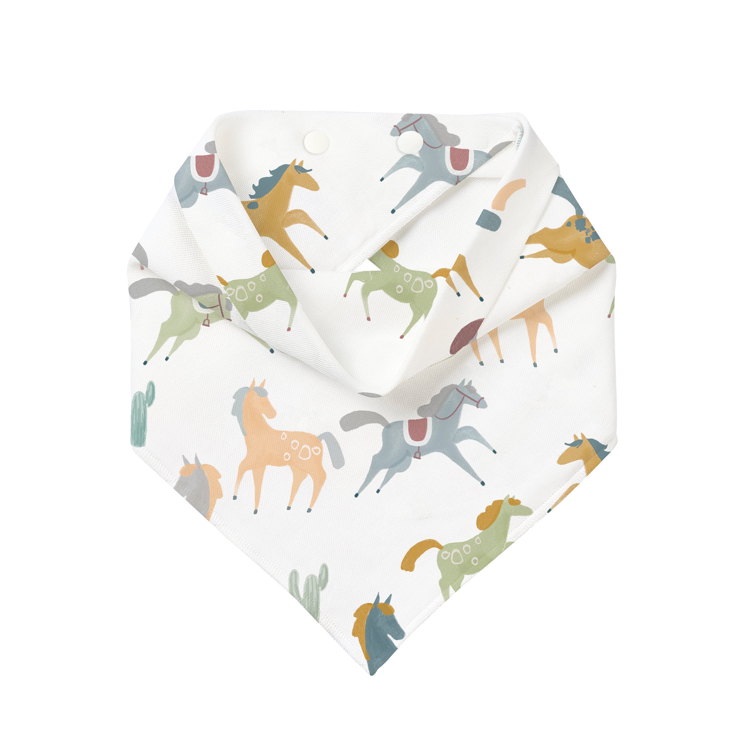 Pony Express #color_Pony Express