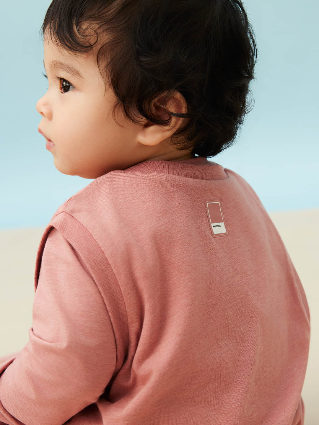 Old Rose #color_Old Rose