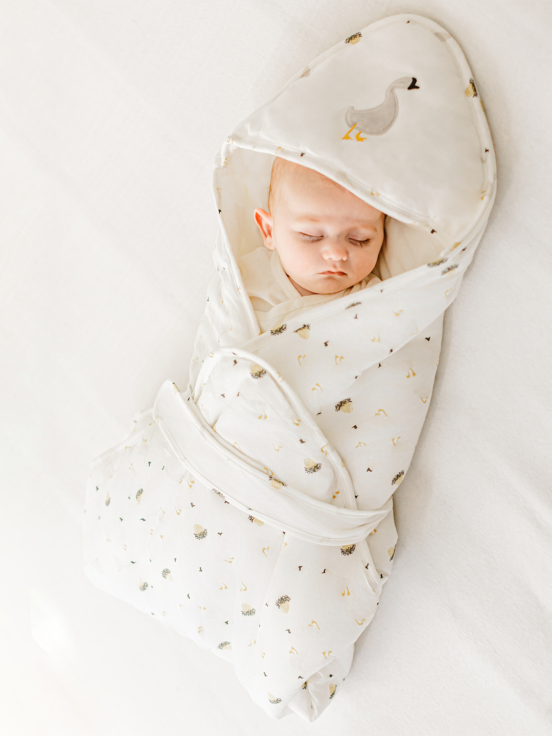 Cotton Jersey Hooded Blanket